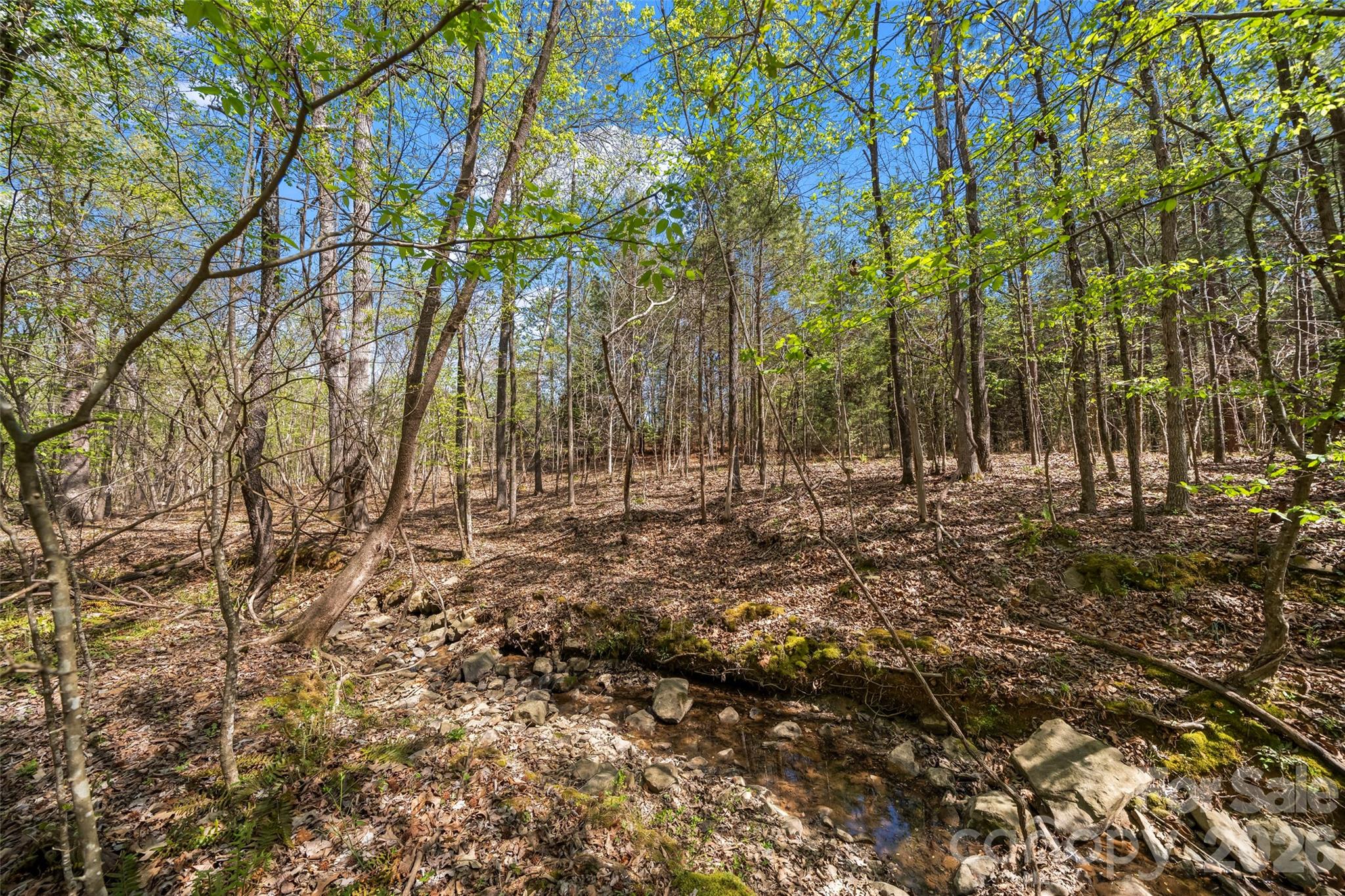 8611 Bent Creek Road — Waxhaw