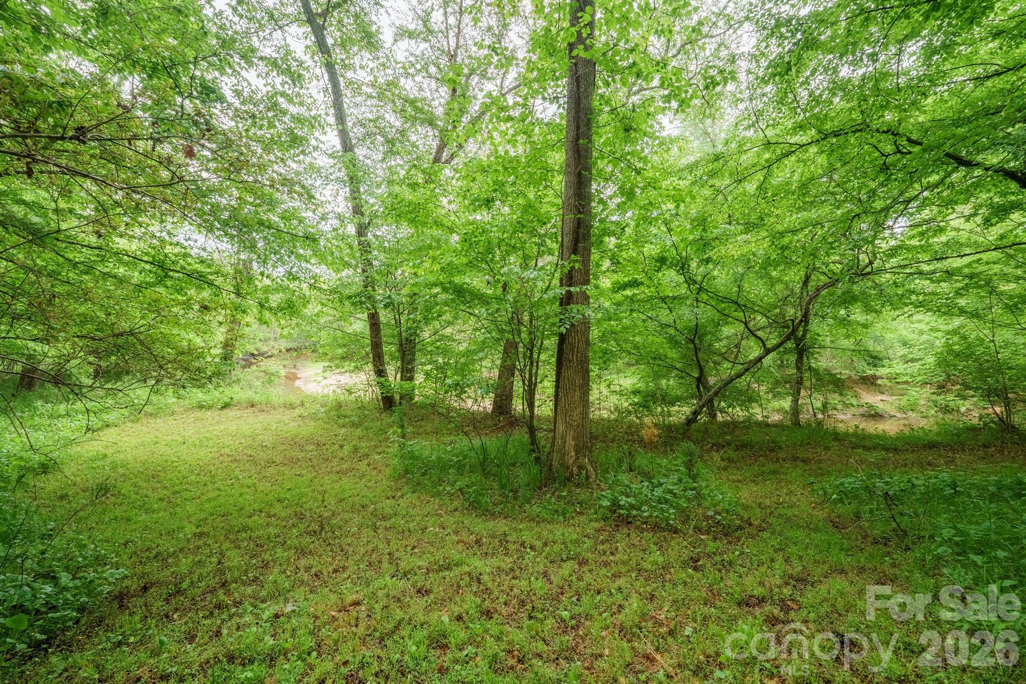 2517 Horseshoe Road — Westfield