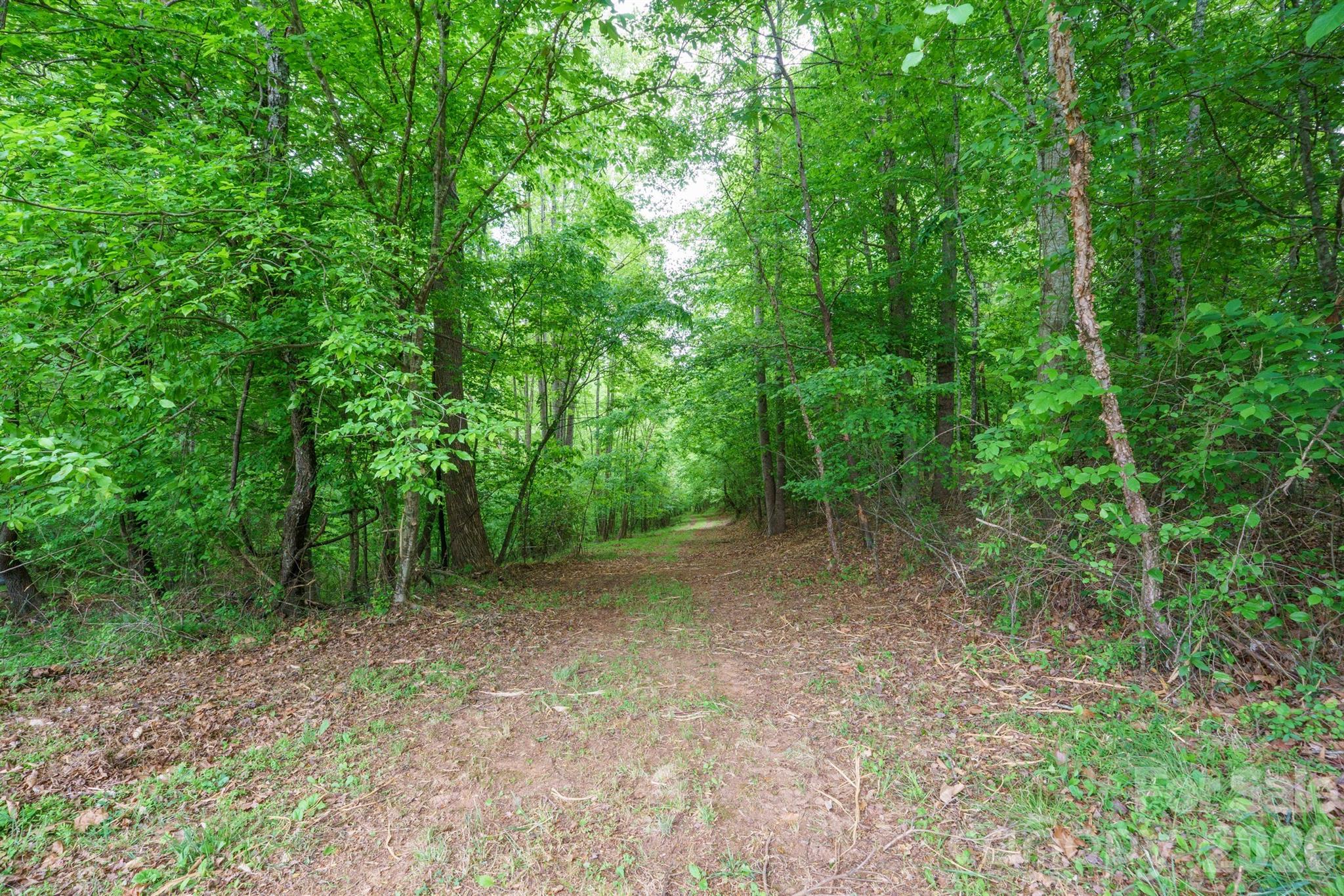 2517 Horseshoe Road — Westfield