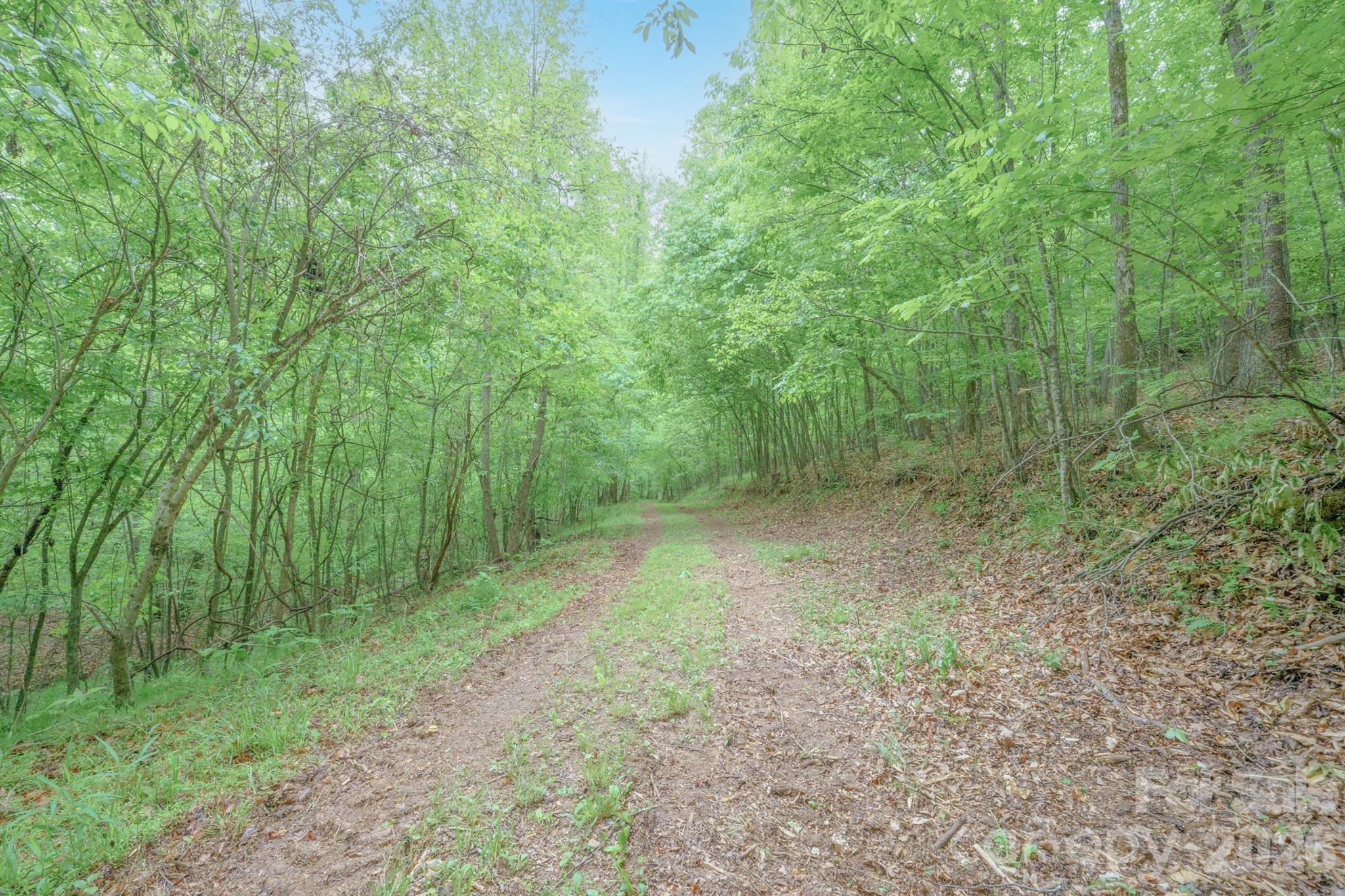 2517 Horseshoe Road — Westfield