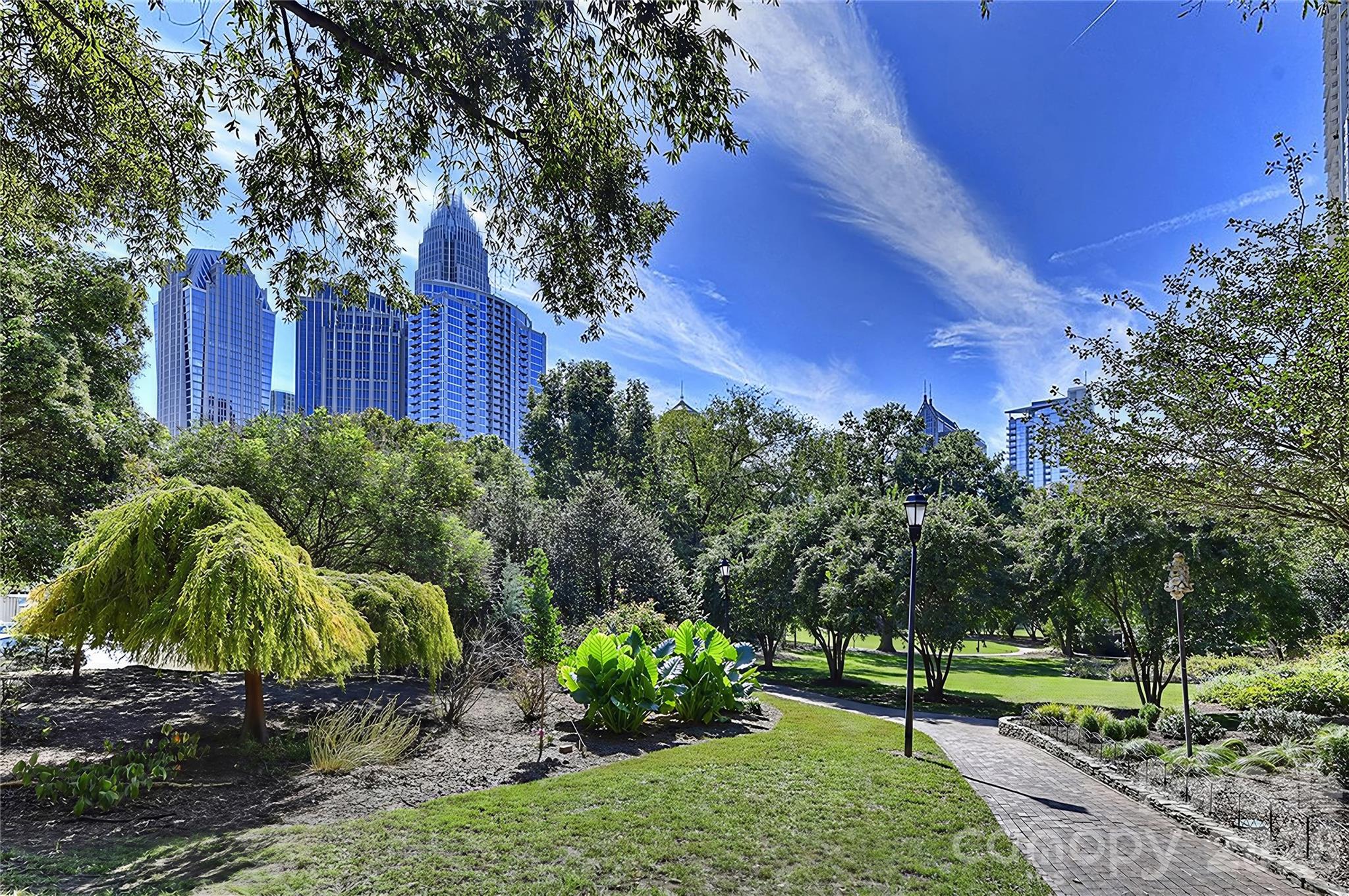 401 N Church Street #103 — Charlotte