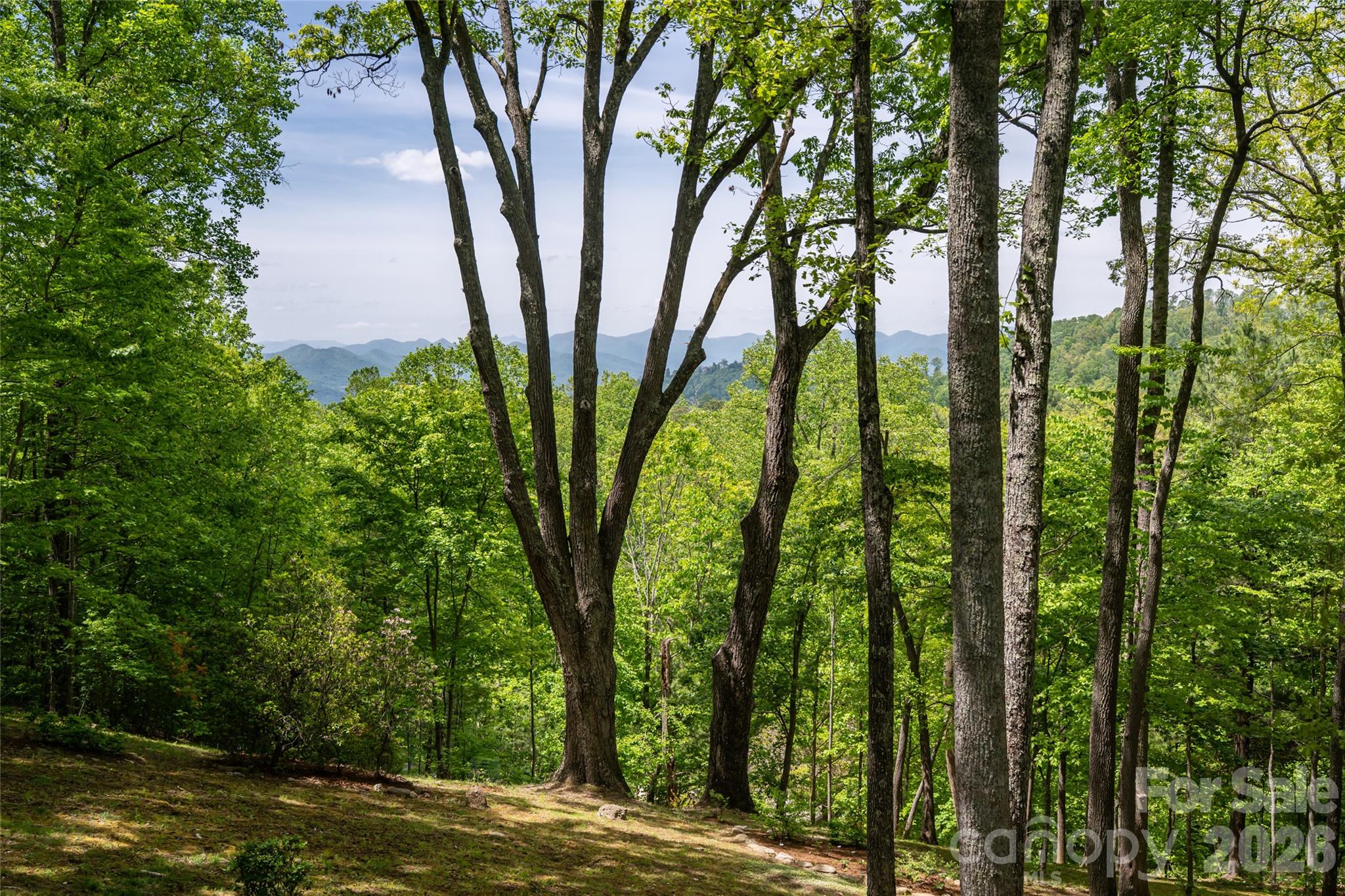 15 Hunters Way — Asheville