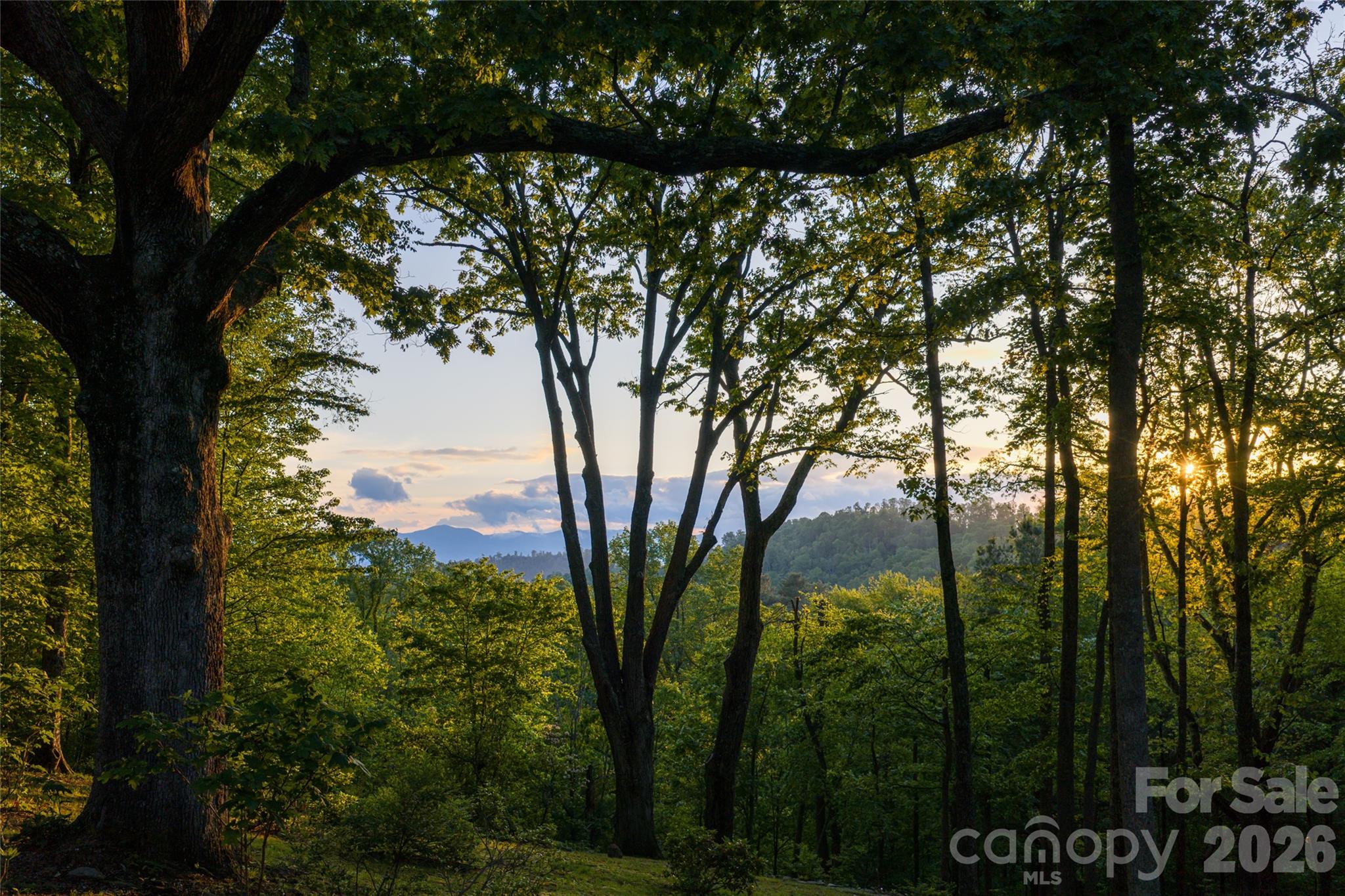 15 Hunters Way — Asheville