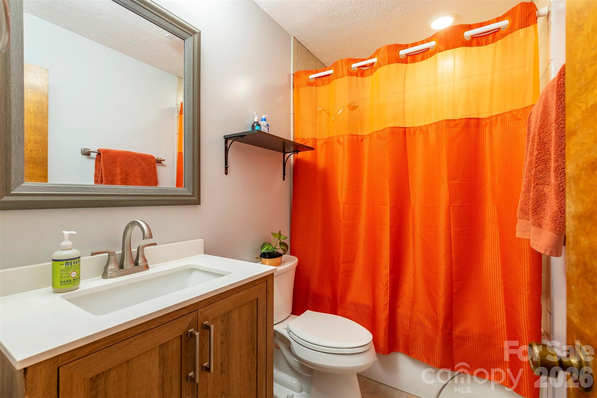 58 Ballantree Drive — Asheville