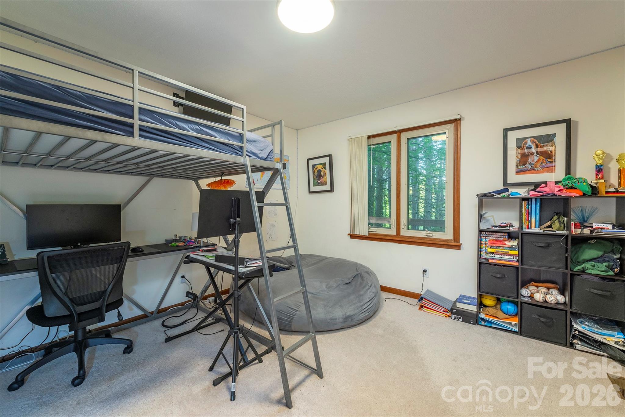 58 Ballantree Drive — Asheville