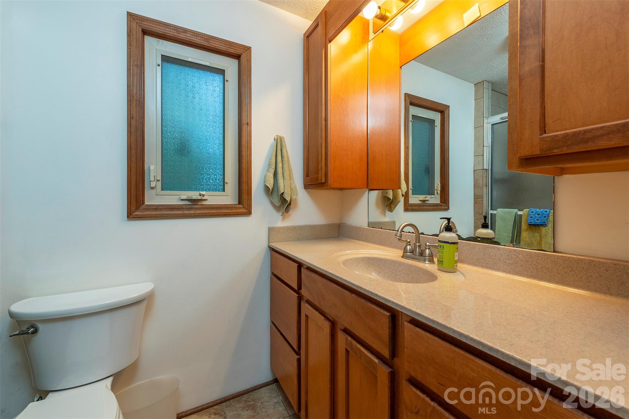 58 Ballantree Drive — Asheville