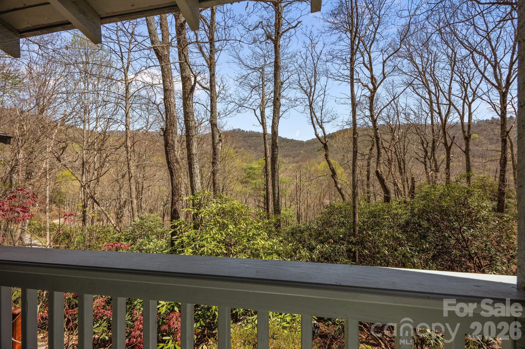 63 Chestnut Forest Road — Fairview
