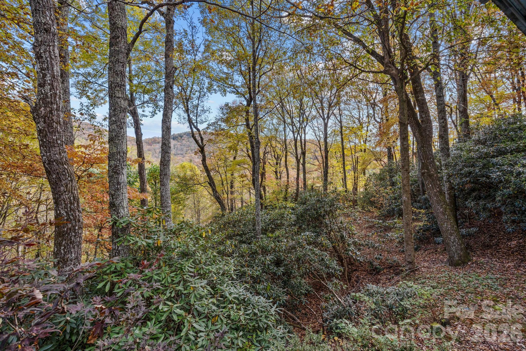 63 Chestnut Forest Road — Fairview