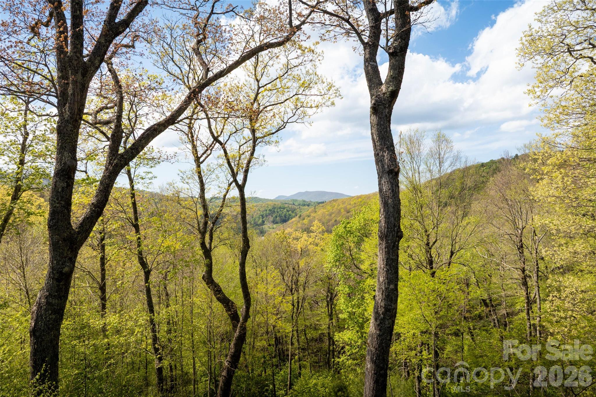 497 Black Locust Circle — Blowing Rock