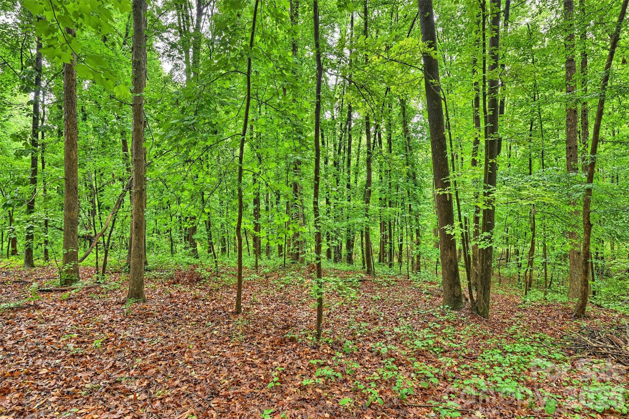 1916 Fair Forest Drive — Matthews