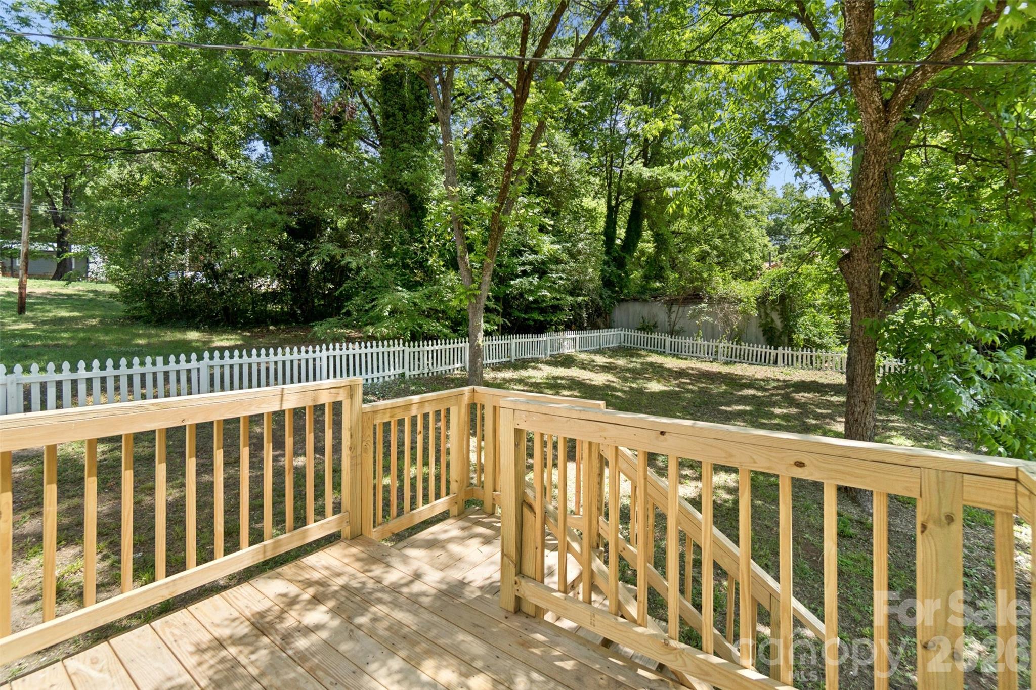 442 Spring Street — Albemarle