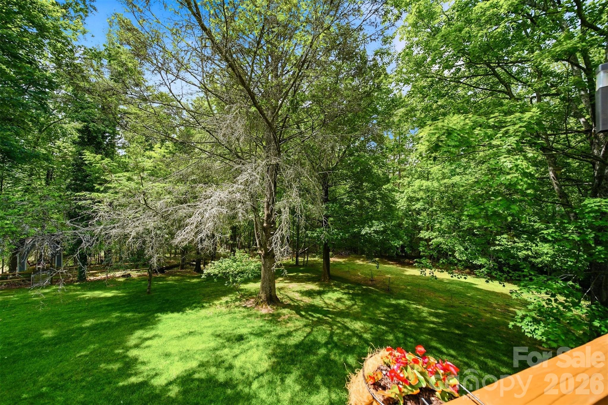 3497 Blue Creek Road — Lenoir