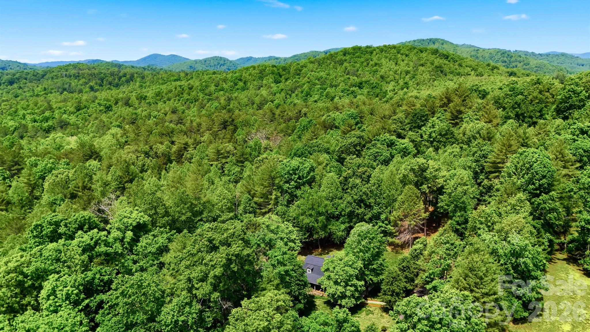 3497 Blue Creek Road — Lenoir