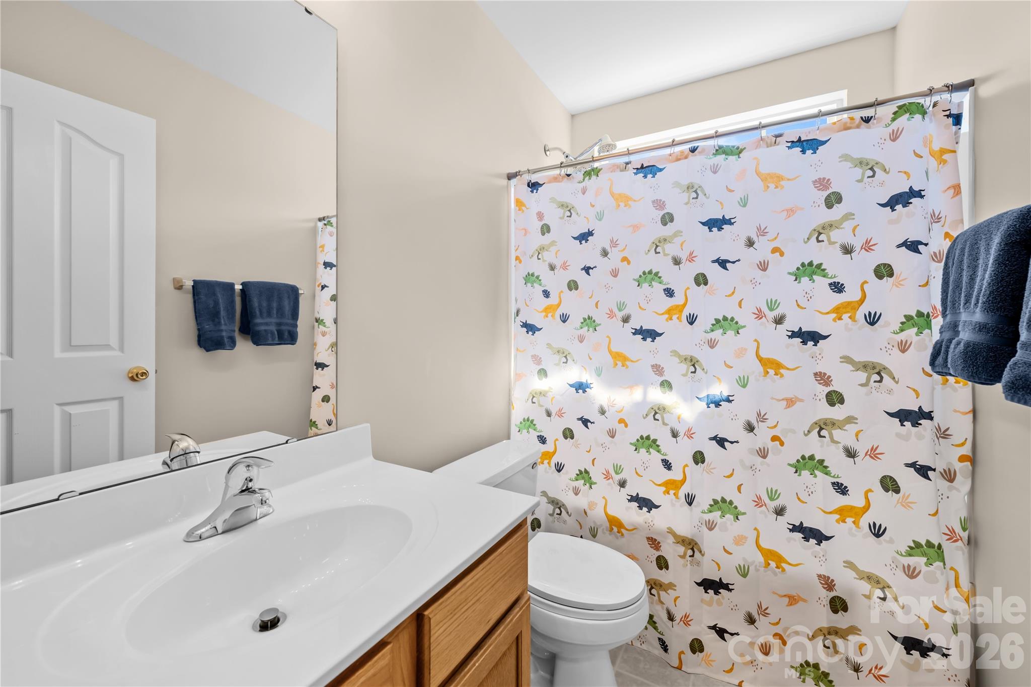11229 Palomar Mountain Drive — Charlotte