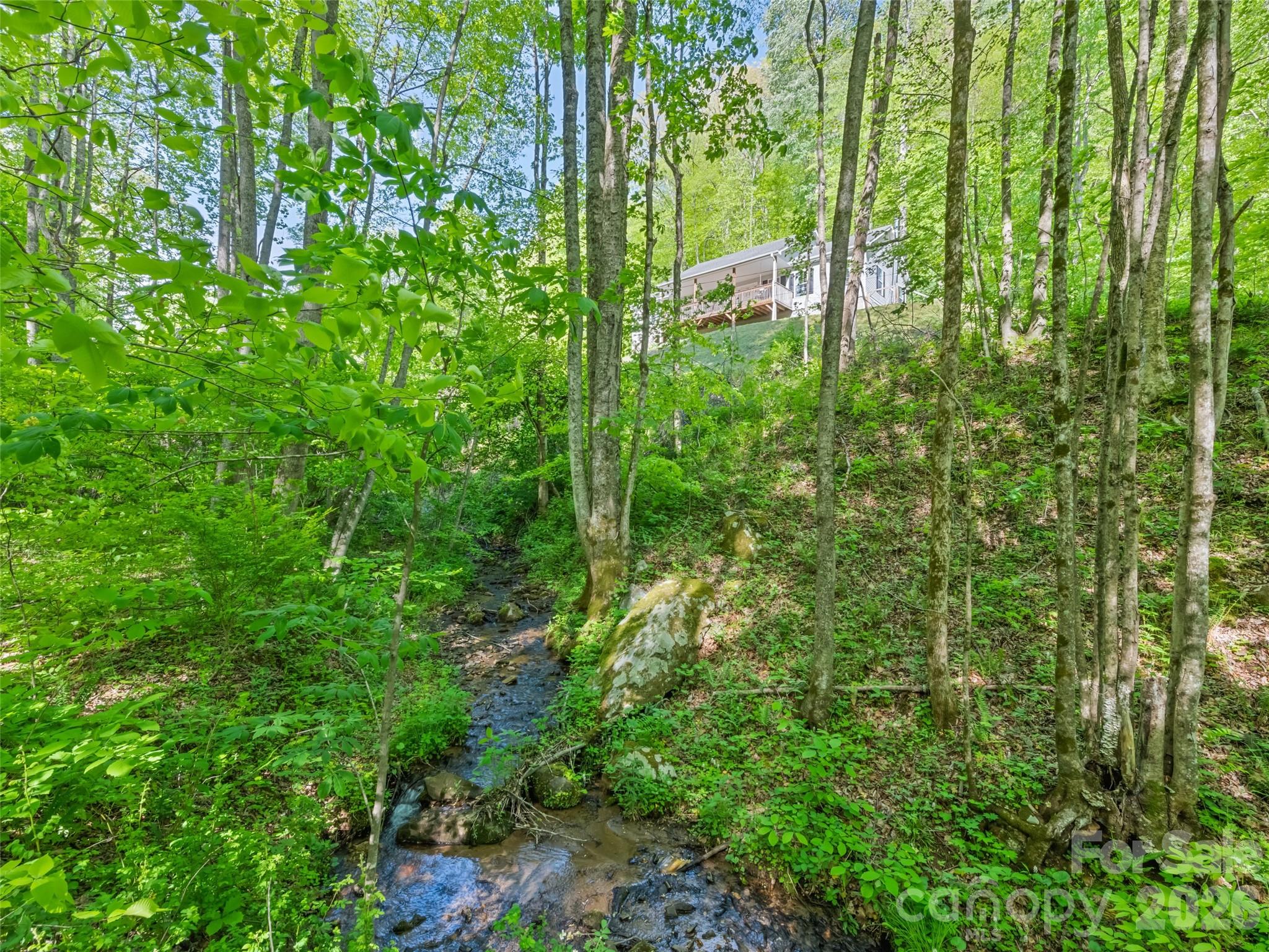 114 Cool Water Trail — Sylva
