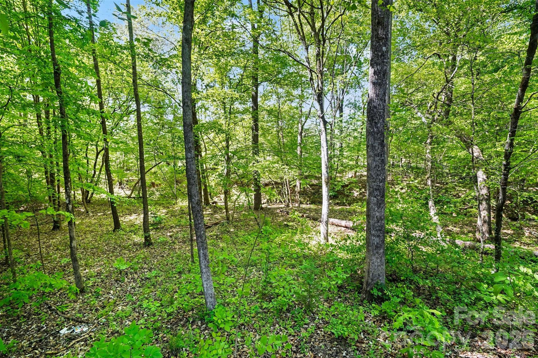 7250 Empire Drive — Mount Pleasant
