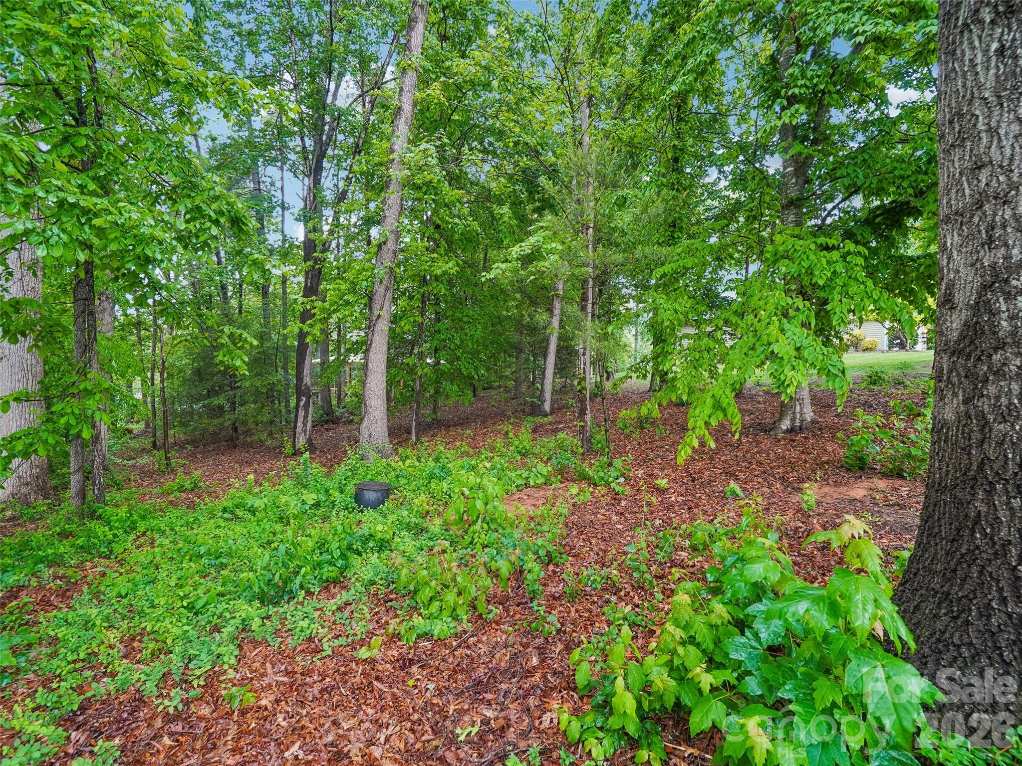 38 Forest Knoll Drive — Weaverville