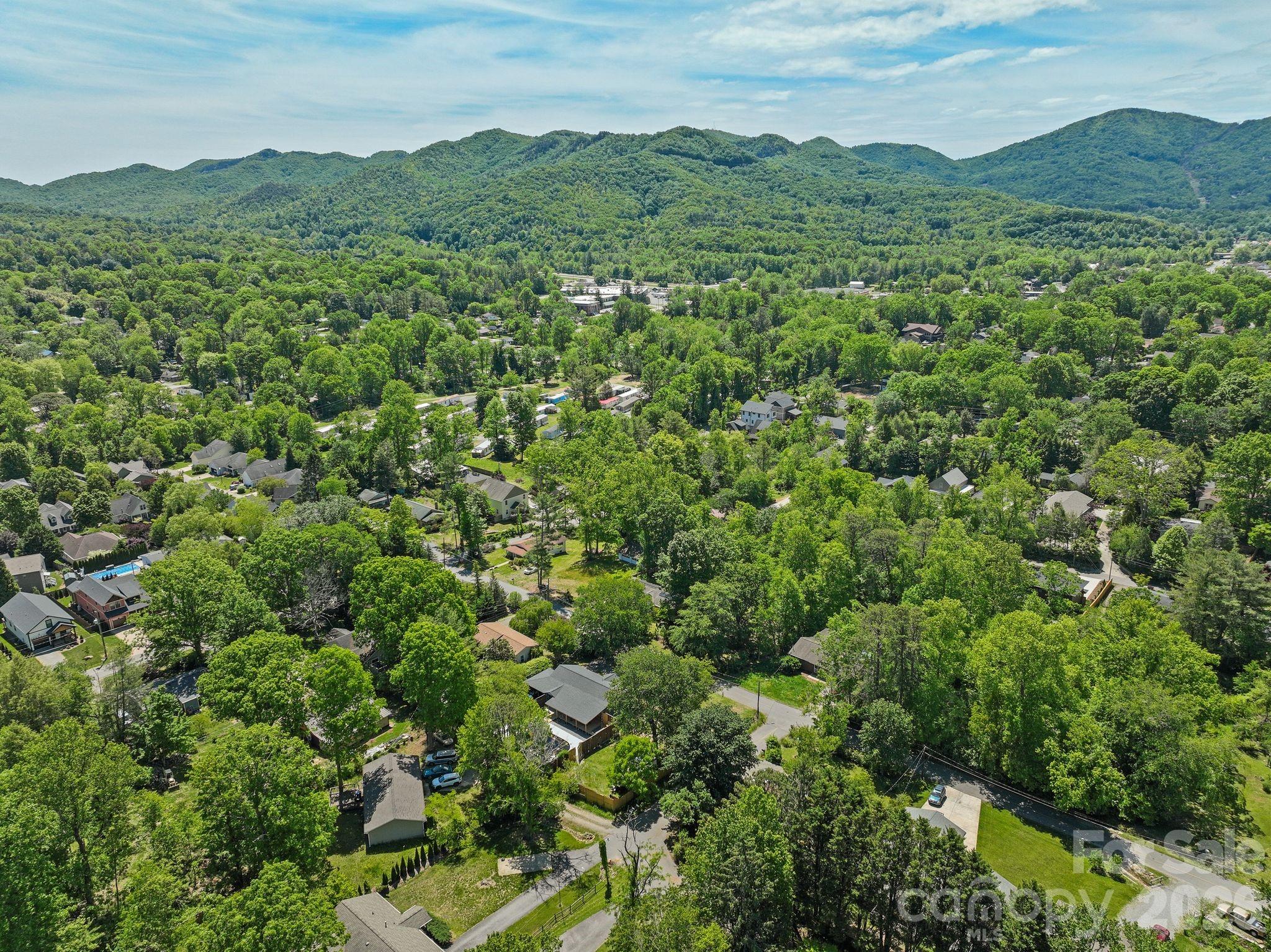 105 7th Street — Black Mountain