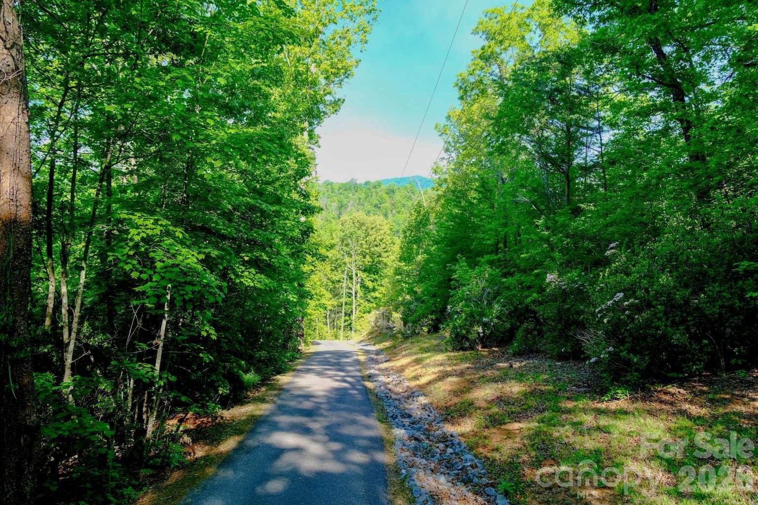 3815 Bat Cave Road — Old Fort