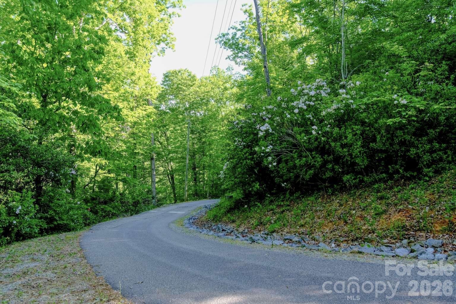 3815 Bat Cave Road — Old Fort