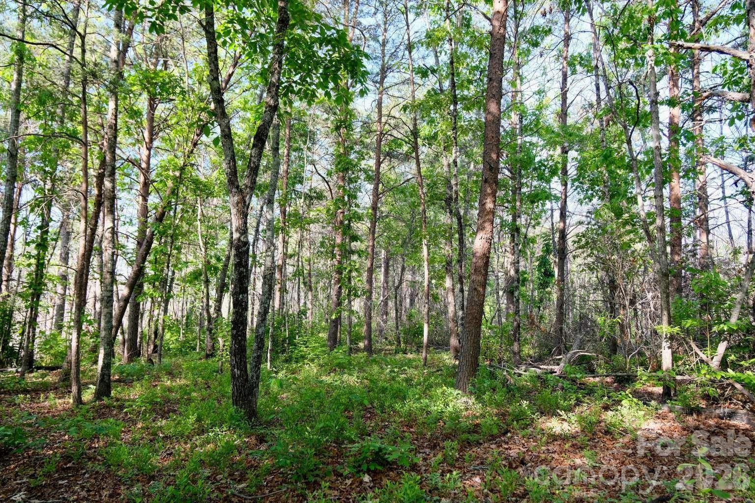 3815 Bat Cave Road — Old Fort