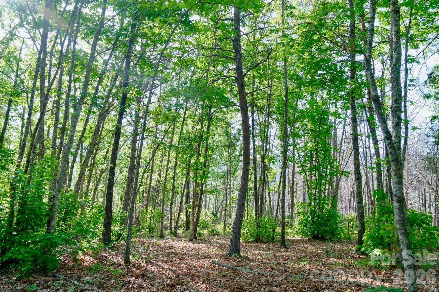 3815 Bat Cave Road — Old Fort