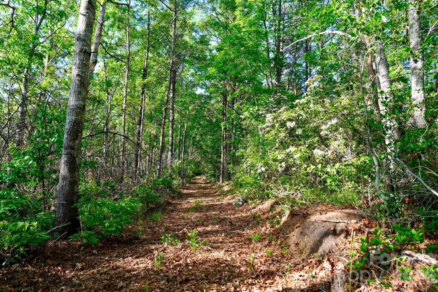 3815 Bat Cave Road — Old Fort