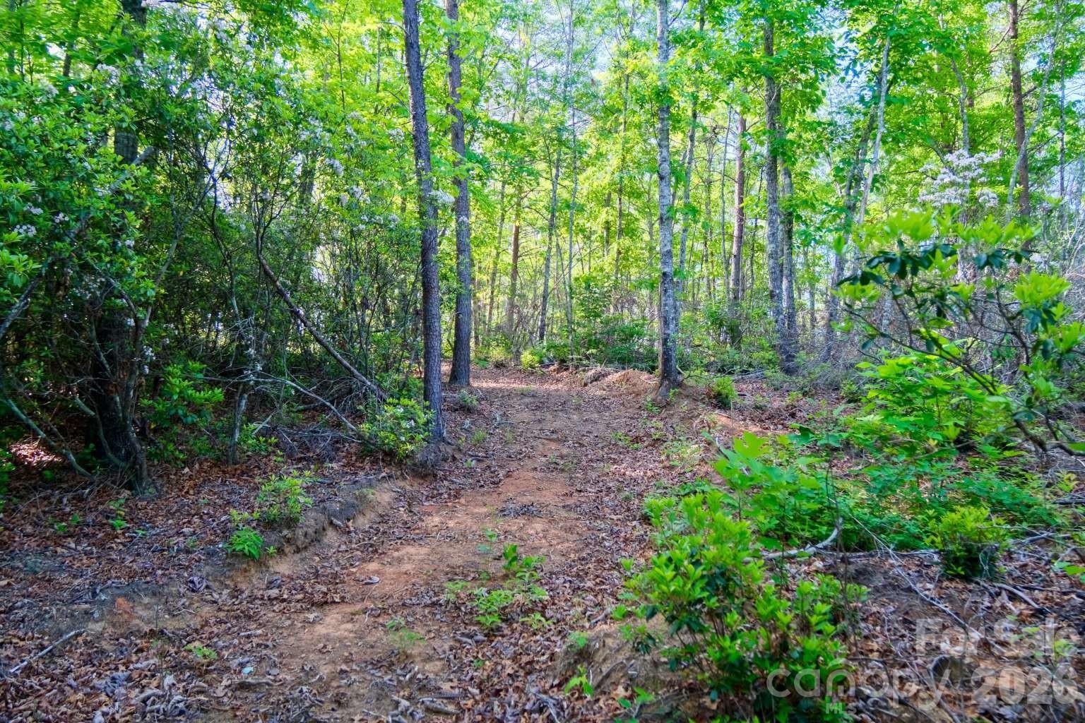 3815 Bat Cave Road — Old Fort