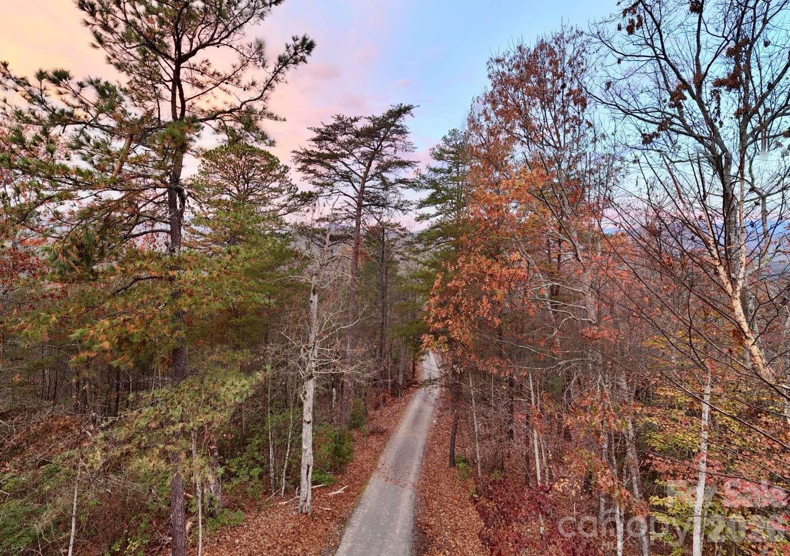 3815 Bat Cave Road — Old Fort