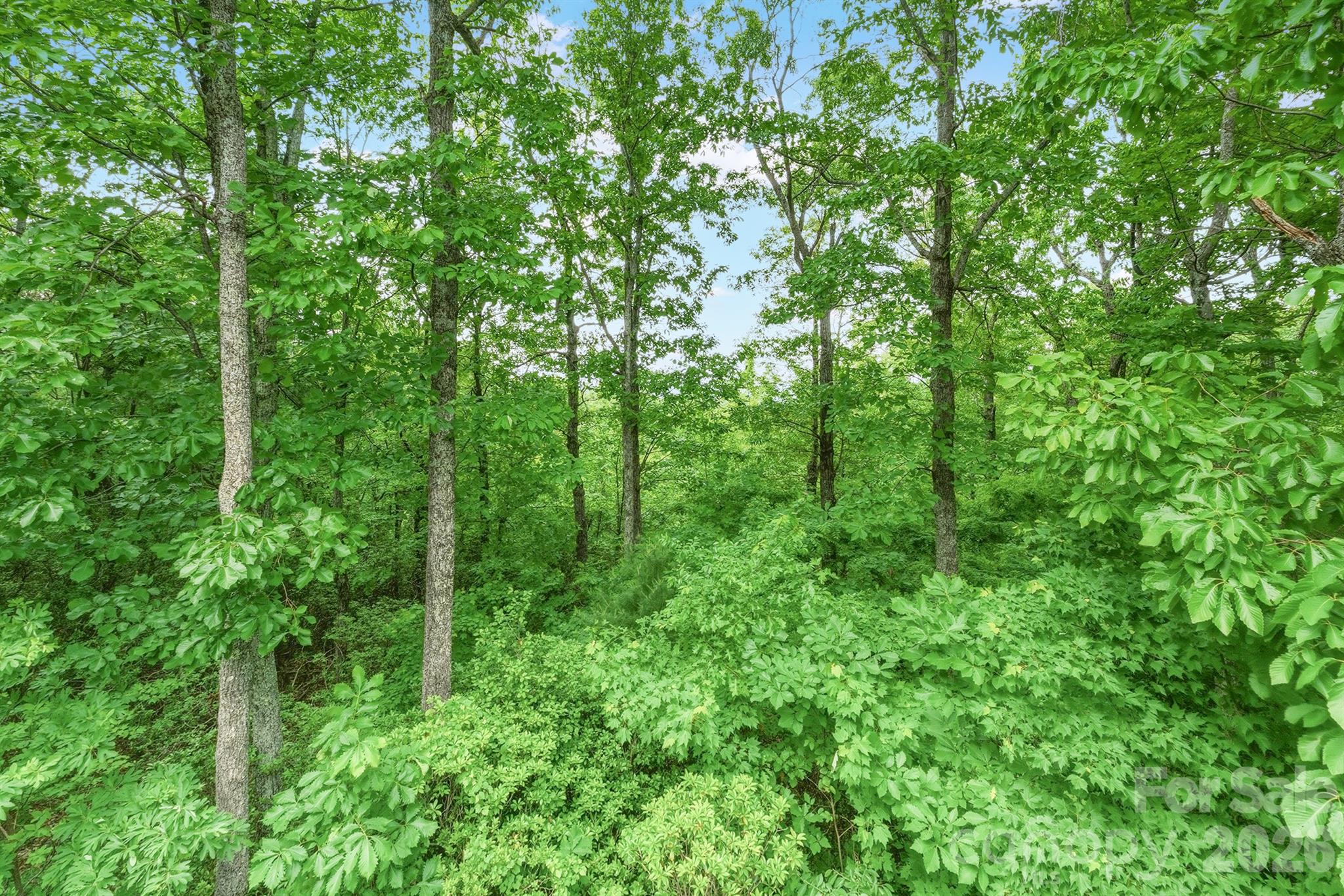 3190 Holly Road — Connelly Springs
