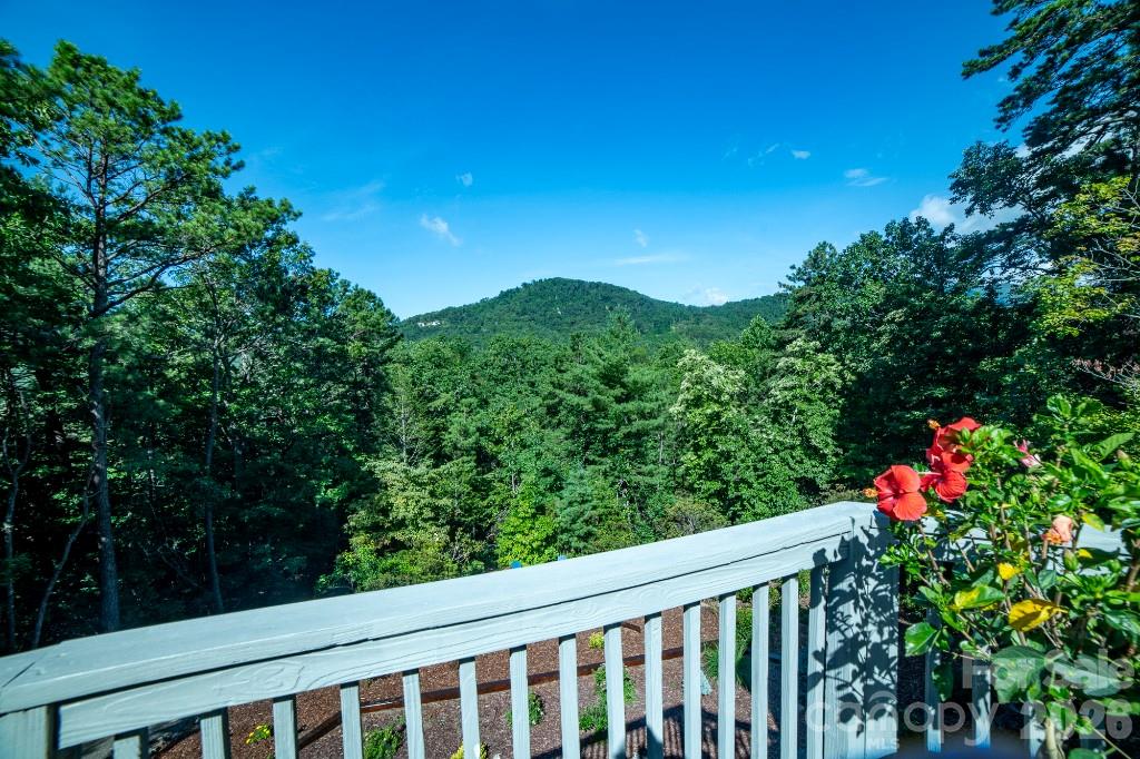 36 Lynx Drive — Black Mountain