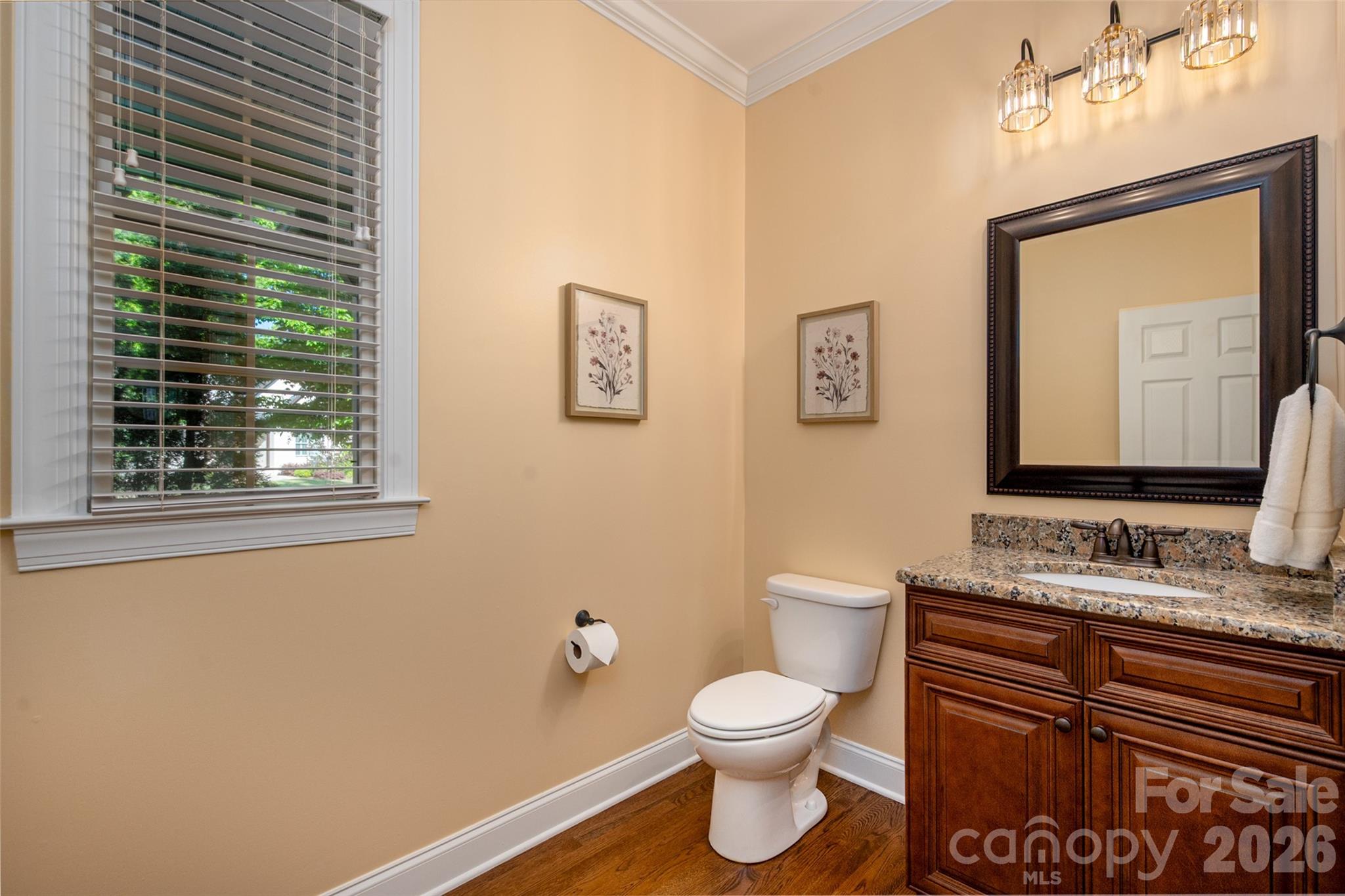 910 Abilene Lane — Fort Mill