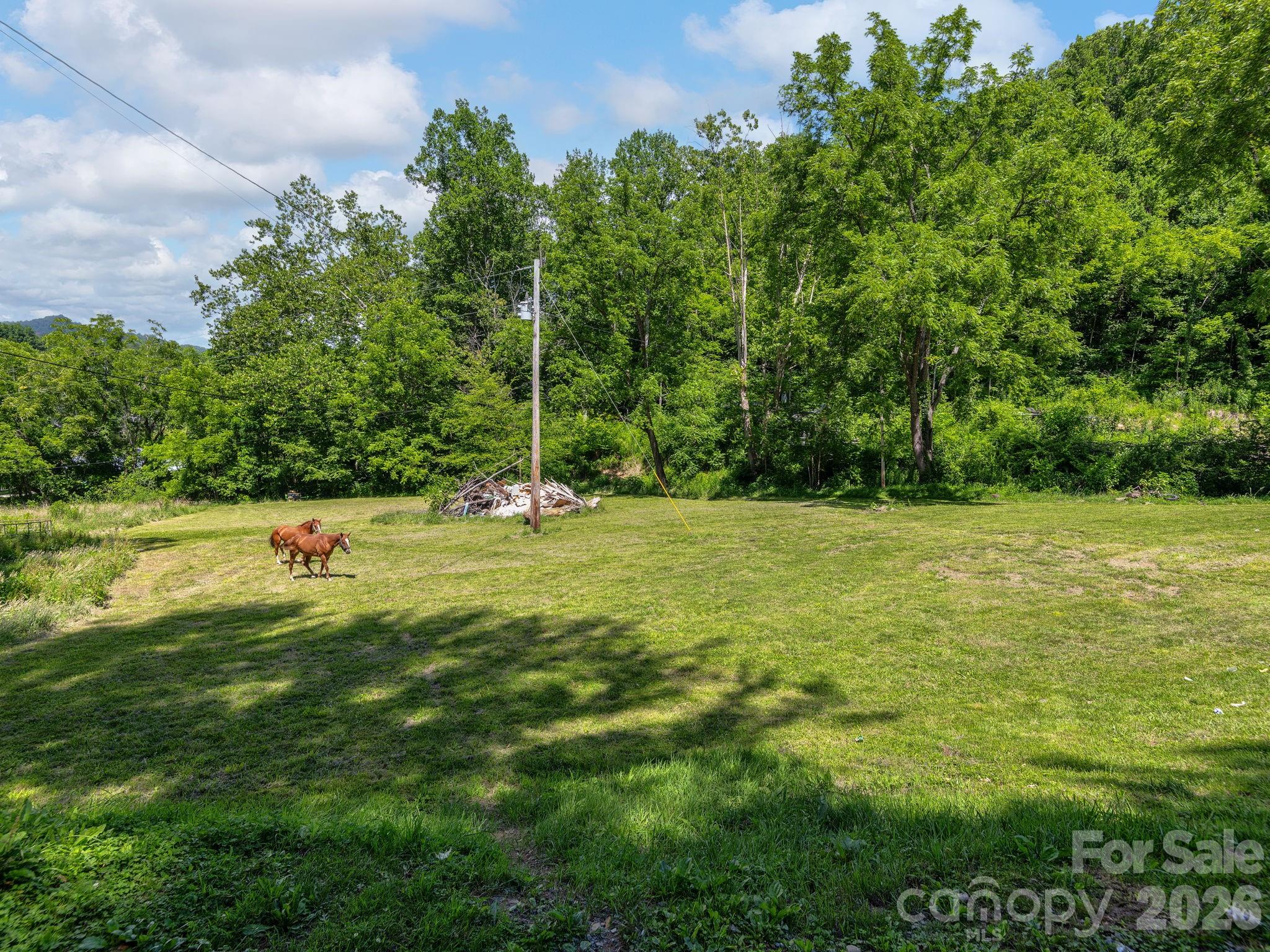 181 Harley Davidson Drive — Canton