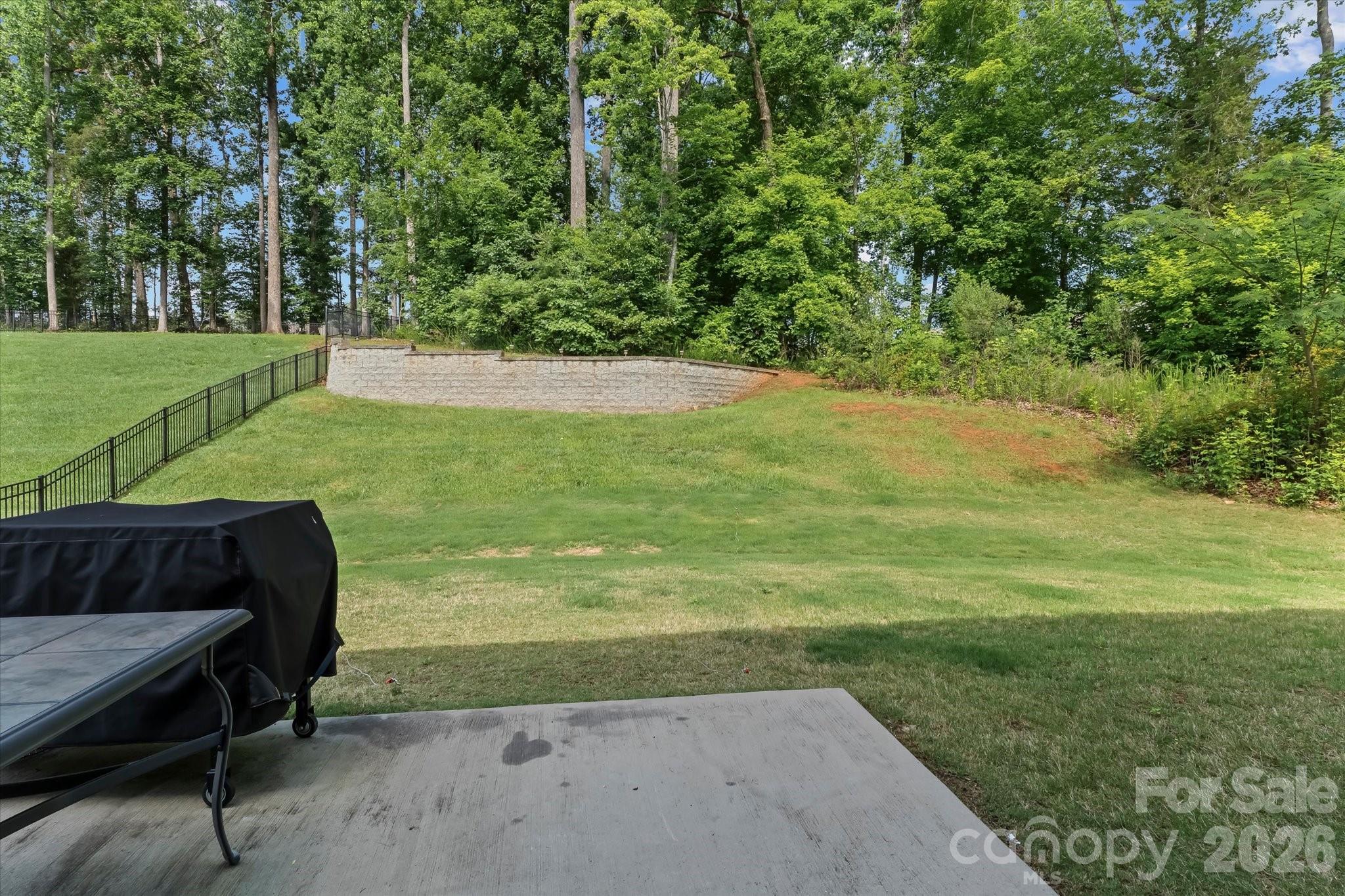 10250 Paper Birch Drive — Charlotte