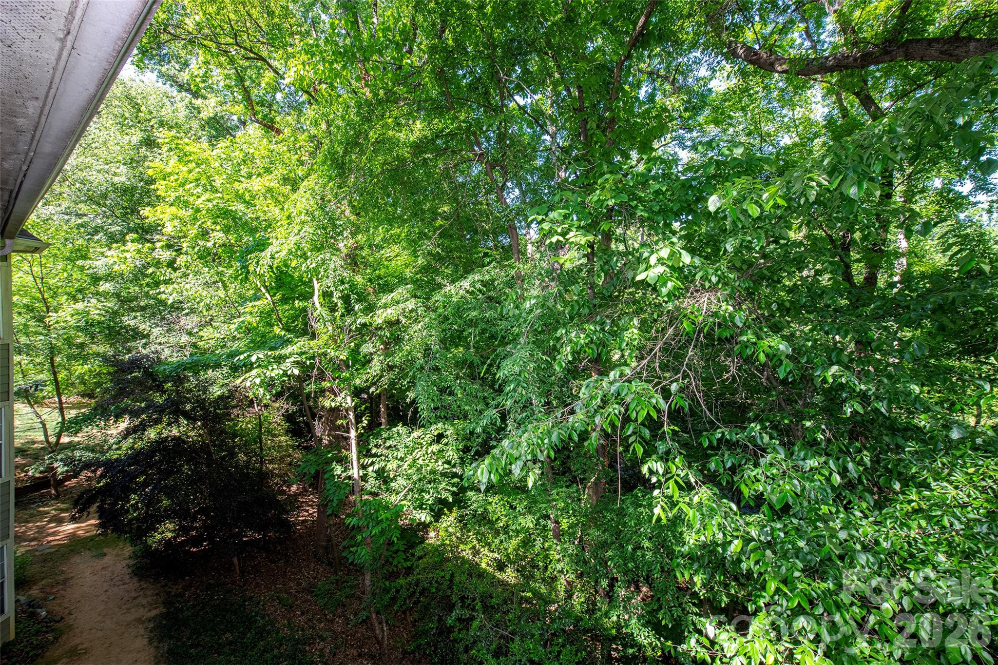 6500 Clavell Lane — Charlotte
