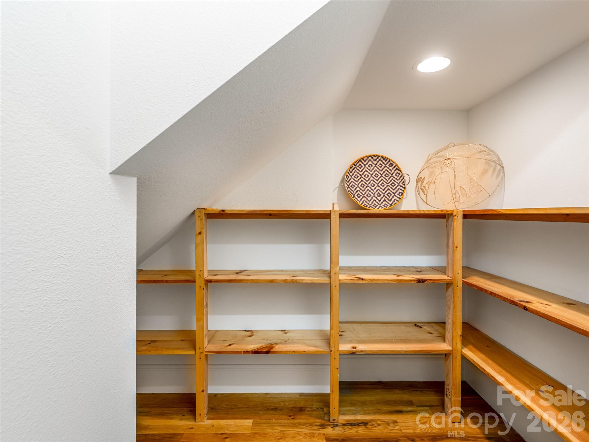 307 S Braeside Court — Asheville