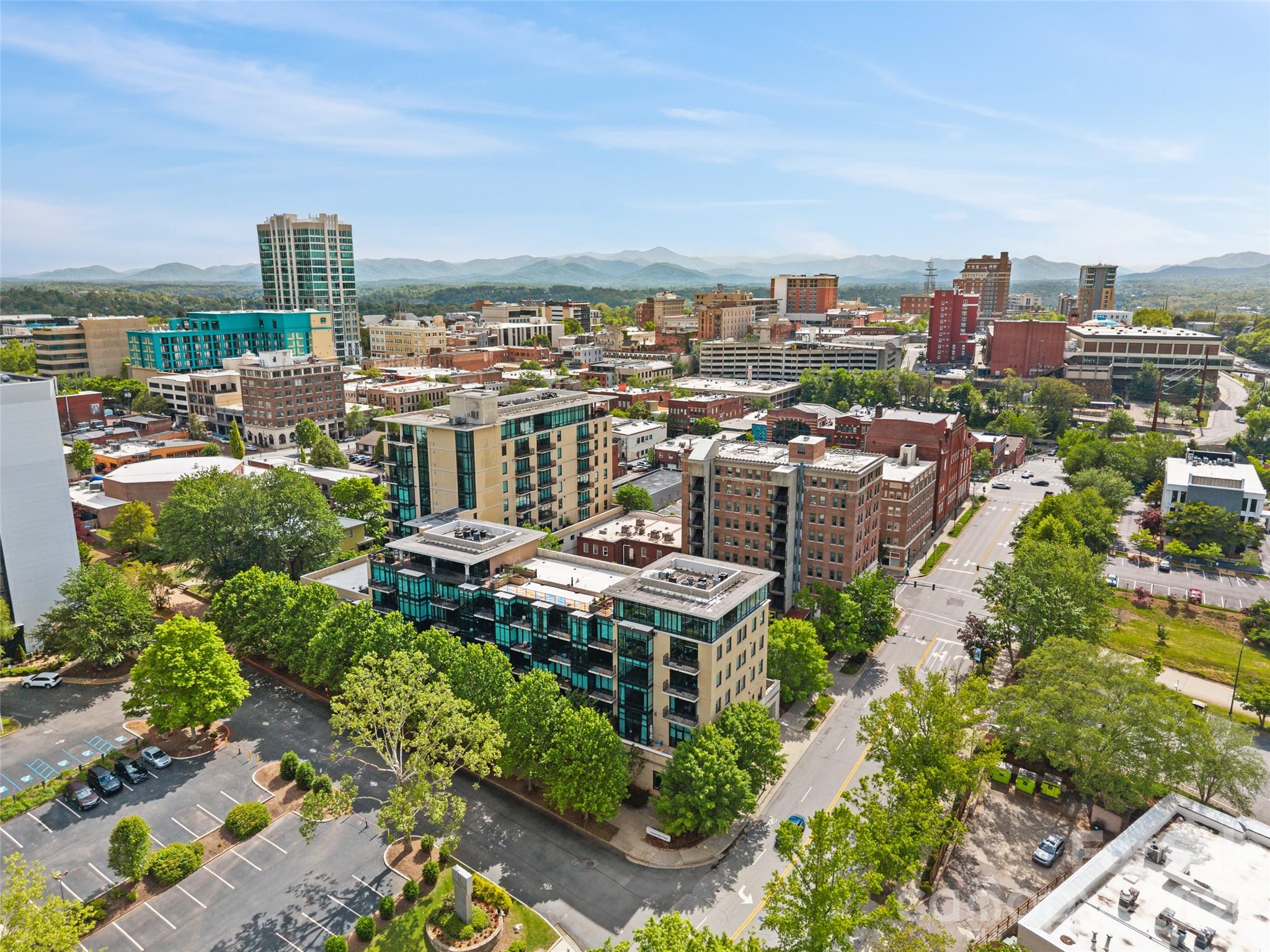 60 N Market Street #217 — Asheville