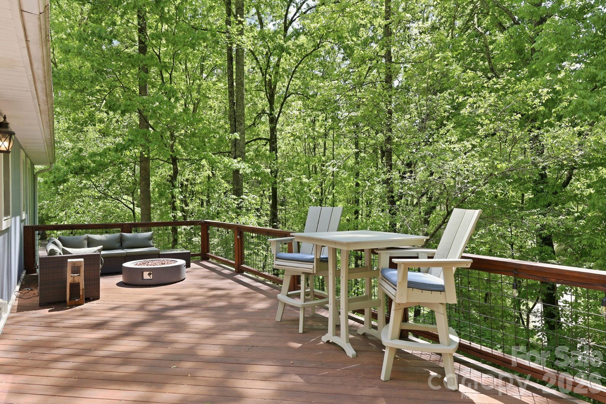 302 Rich Mountain Road — Flat Rock
