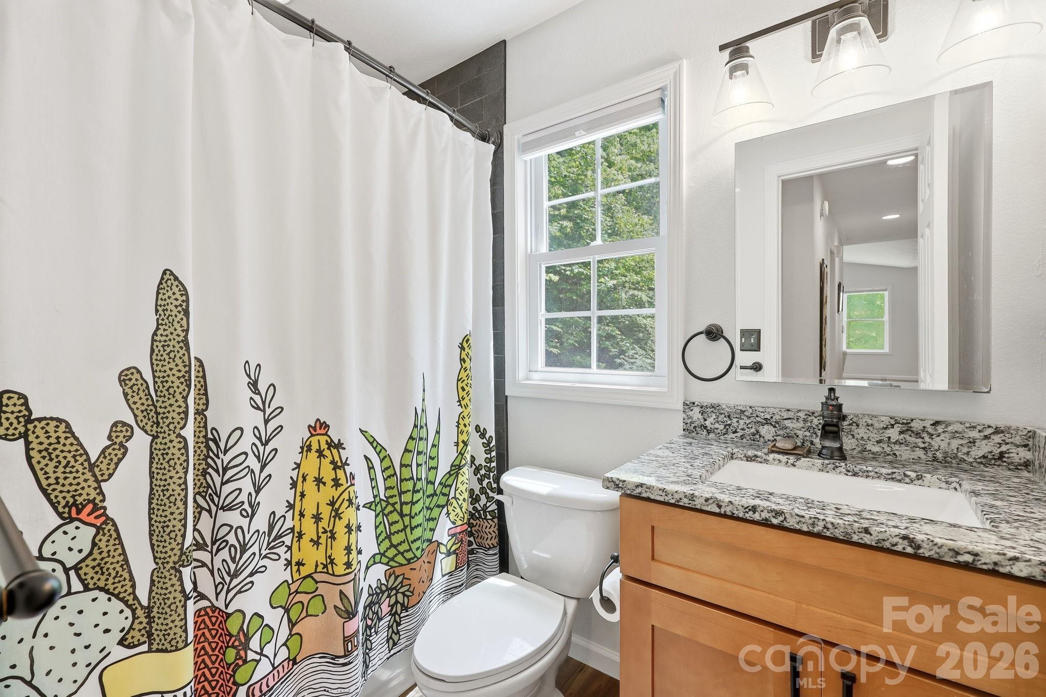 302 Rich Mountain Road — Flat Rock