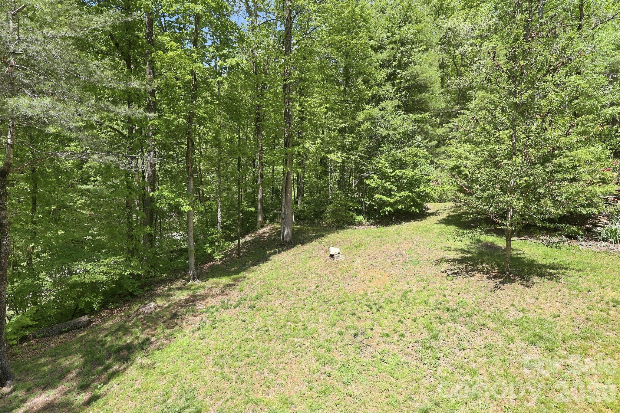 302 Rich Mountain Road — Flat Rock