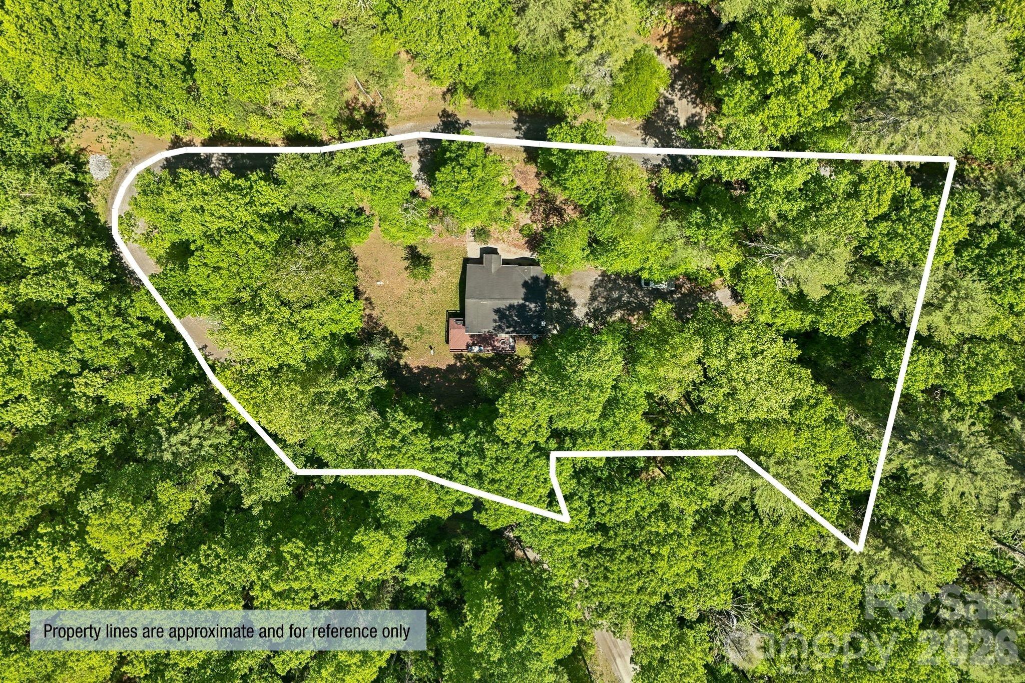 302 Rich Mountain Road — Flat Rock