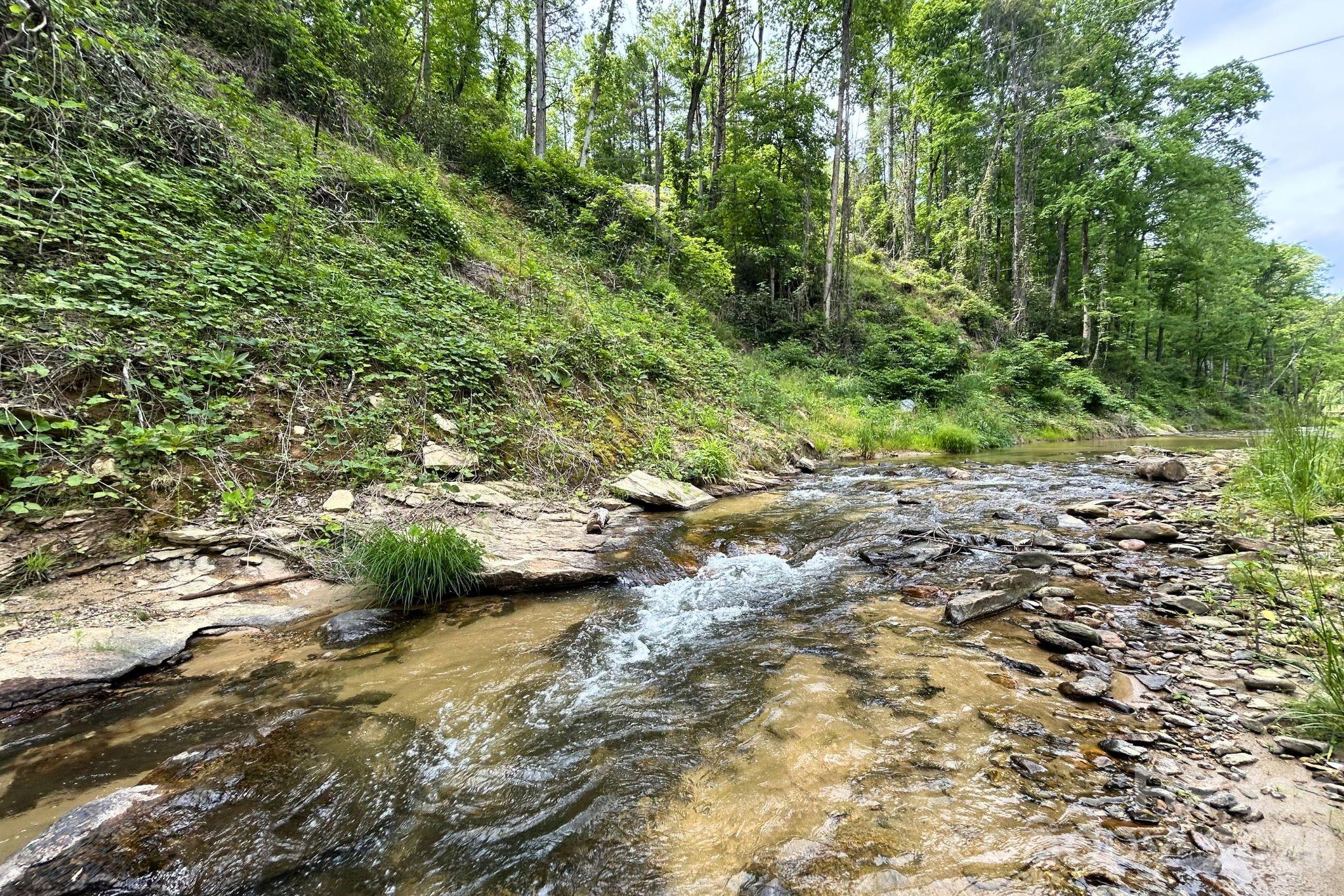 302 Rich Mountain Road — Flat Rock