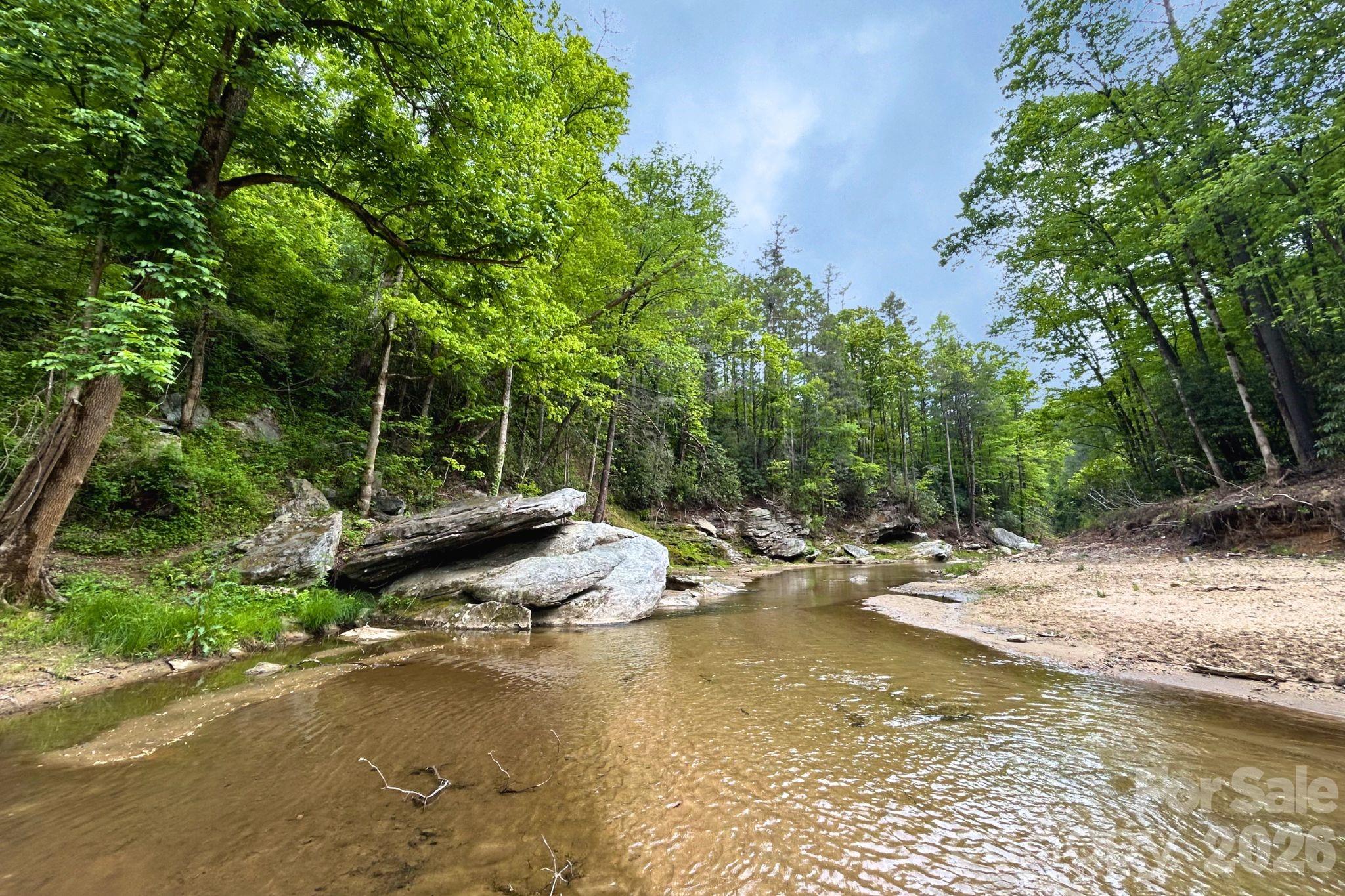 302 Rich Mountain Road — Flat Rock
