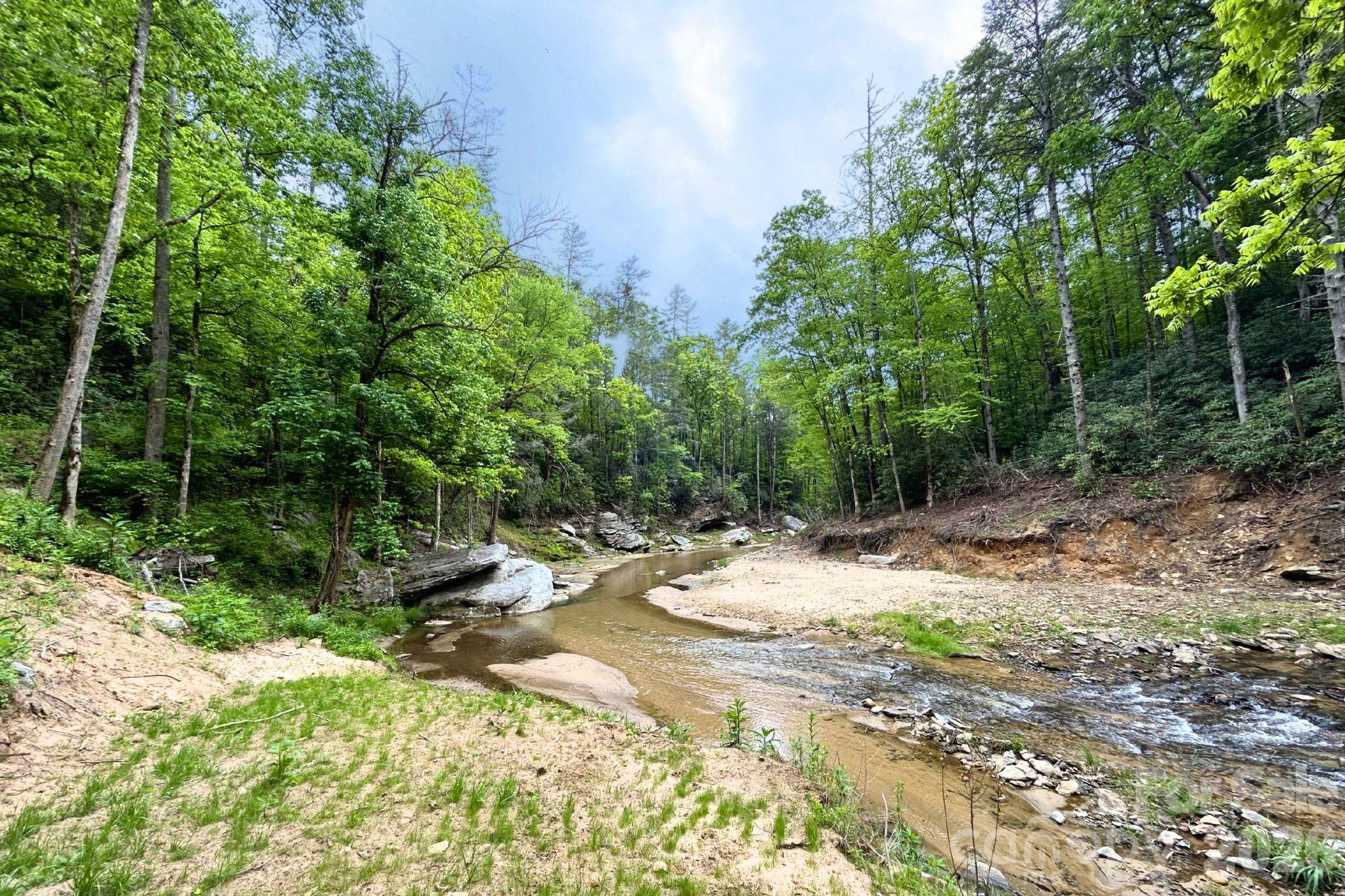 302 Rich Mountain Road — Flat Rock
