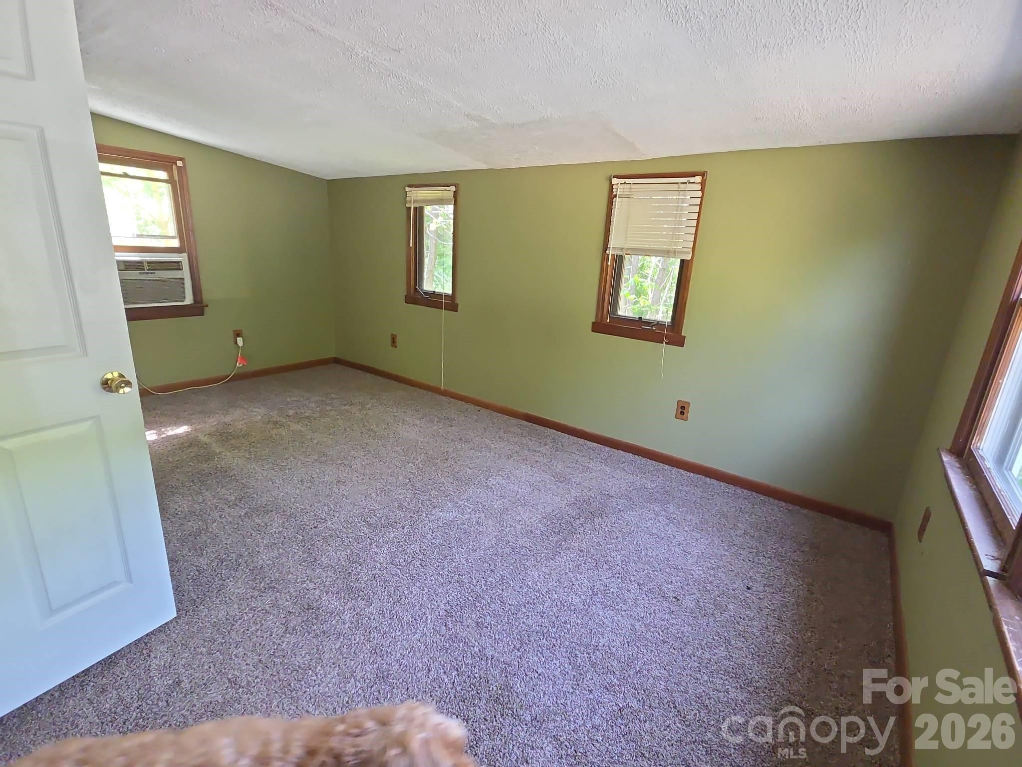 208 Mckinnish Cove Road — Asheville