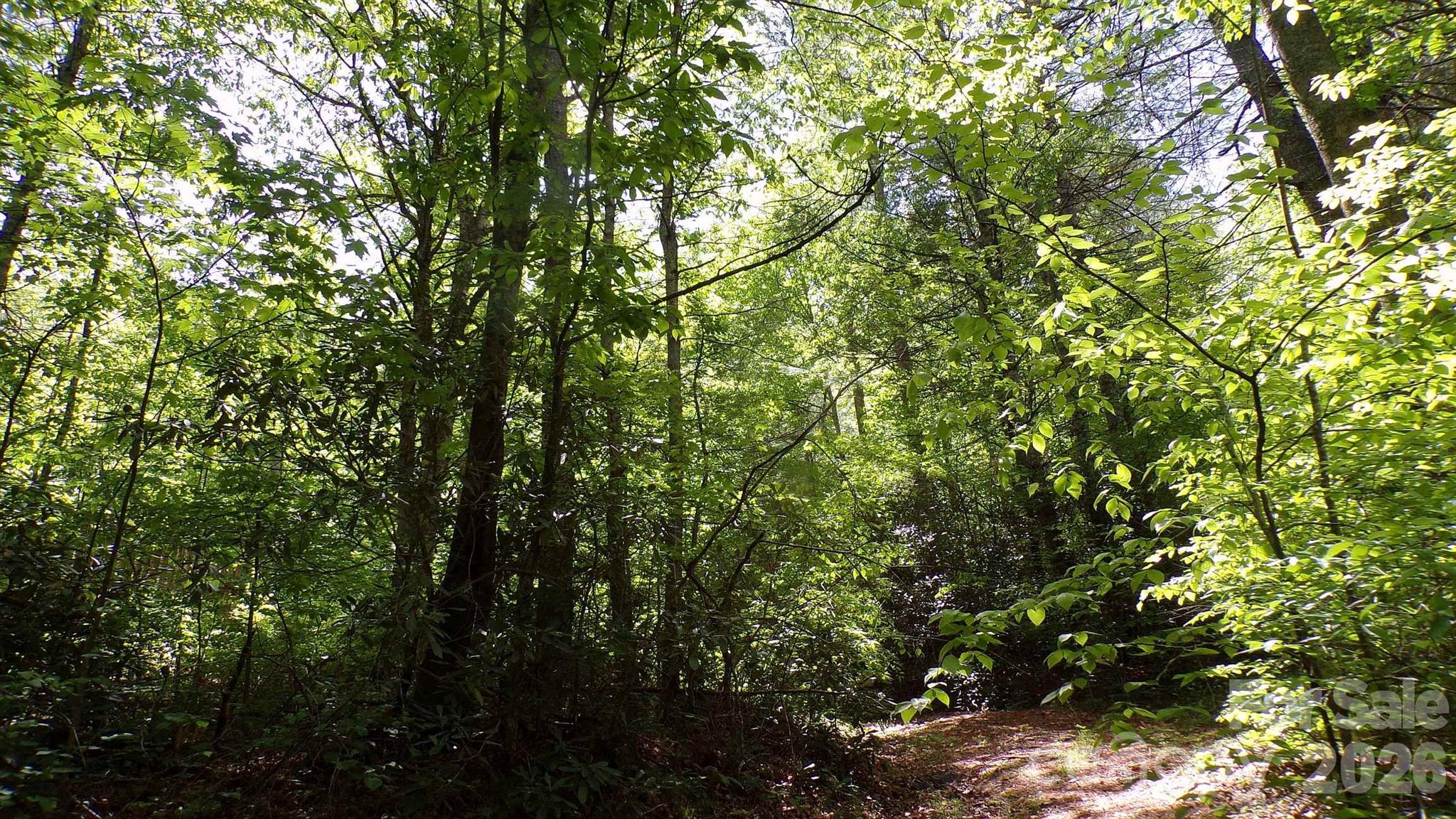 216 Paradise Road — Hendersonville