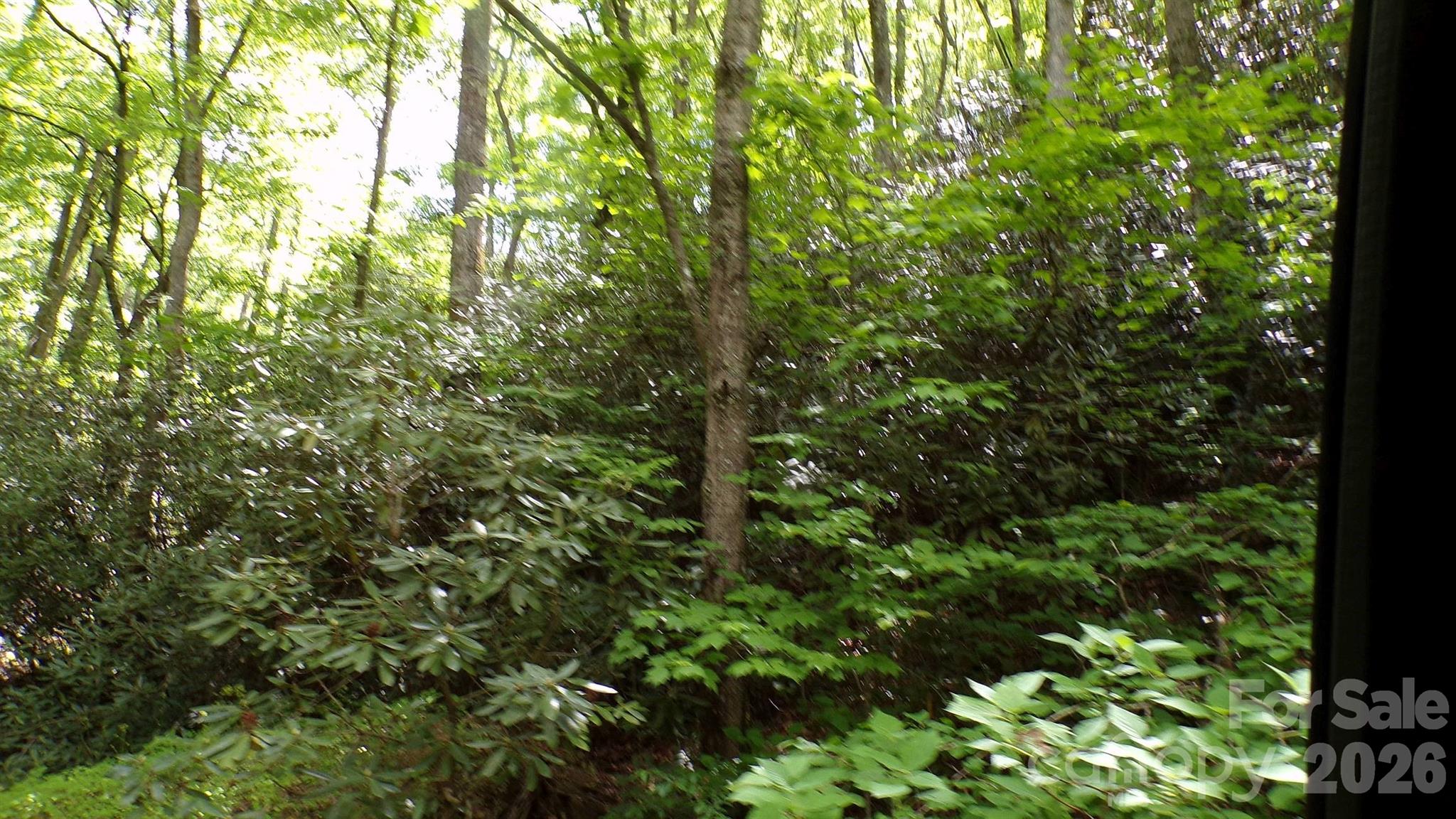 216 Paradise Road — Hendersonville