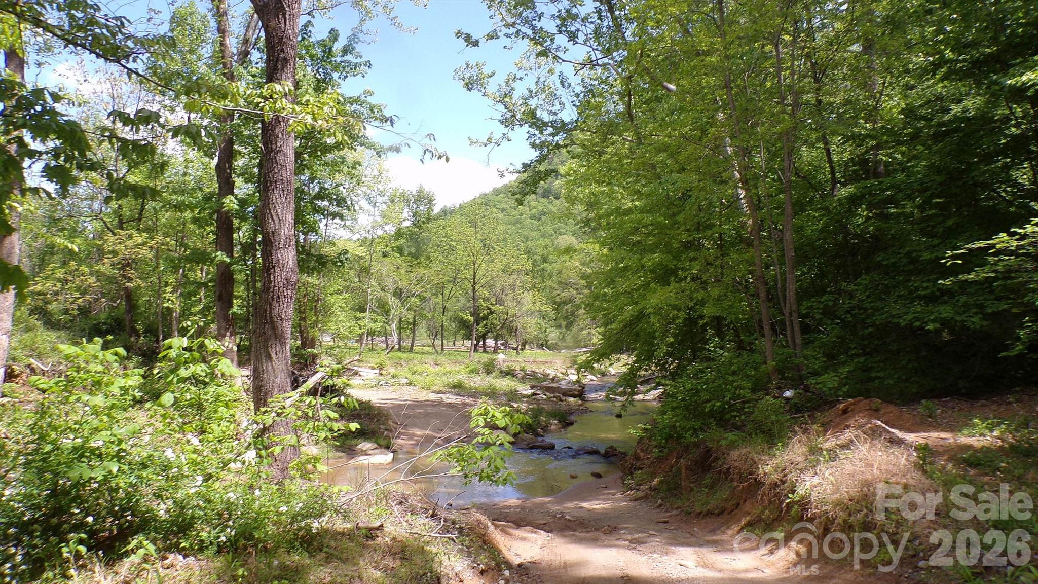 216 Paradise Road — Hendersonville