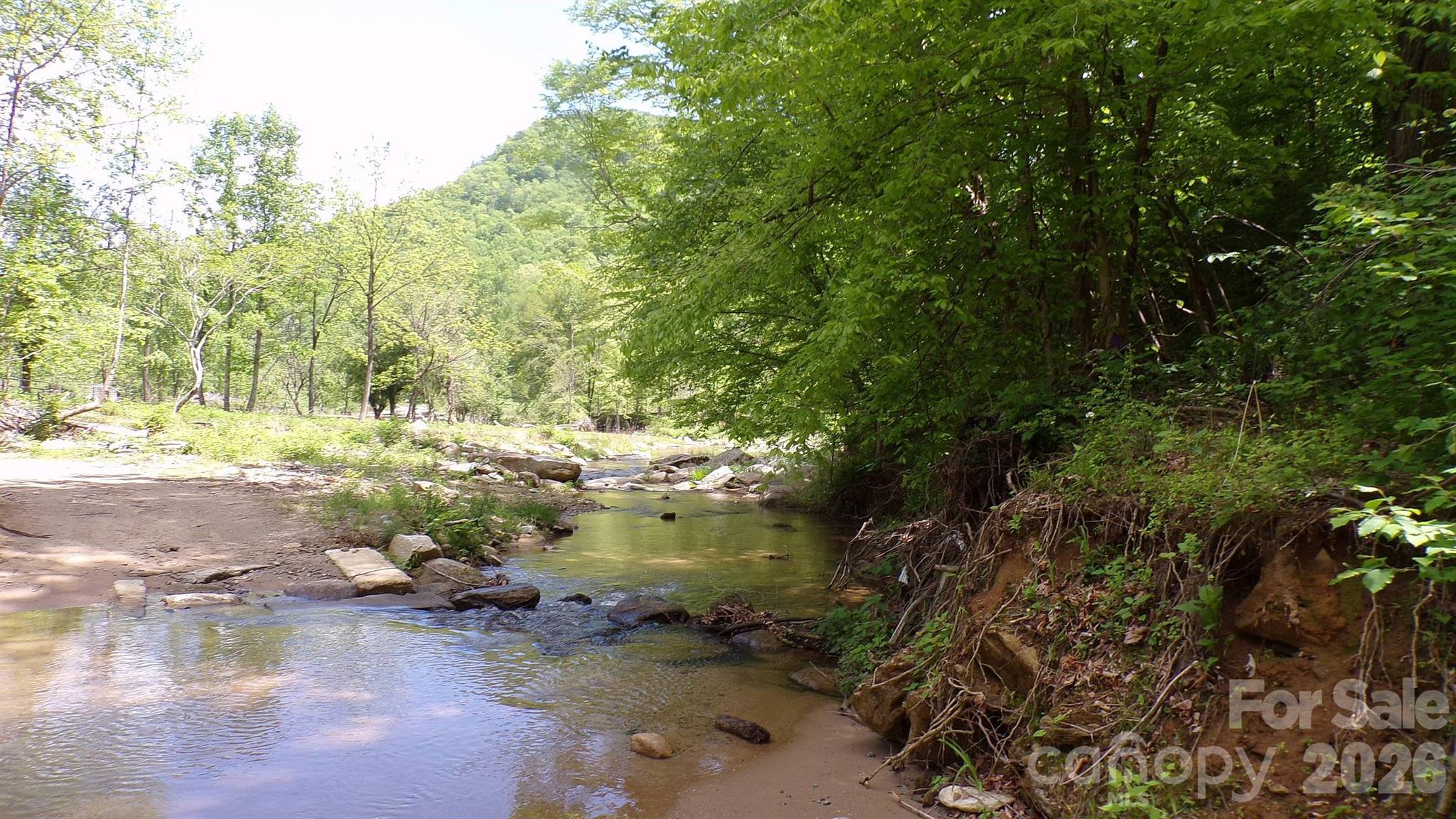216 Paradise Road — Hendersonville