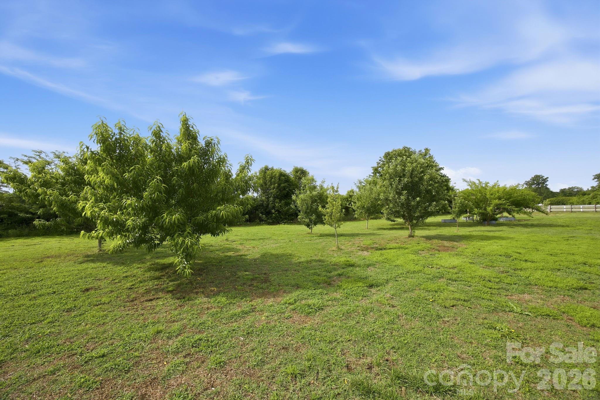 3480 Skyline Road — Rock Hill